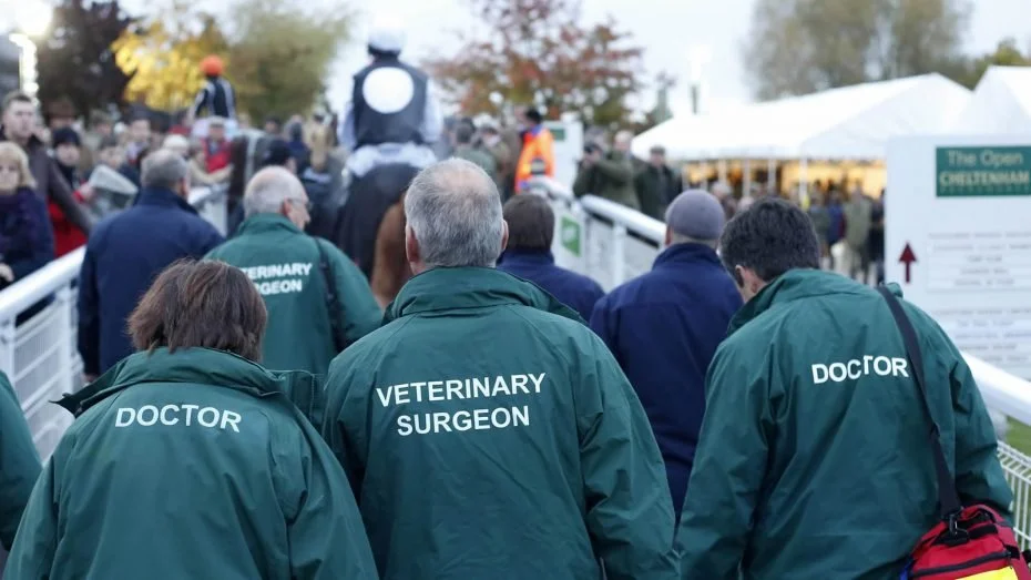 The unintended consequences of healthcare regulation on racing