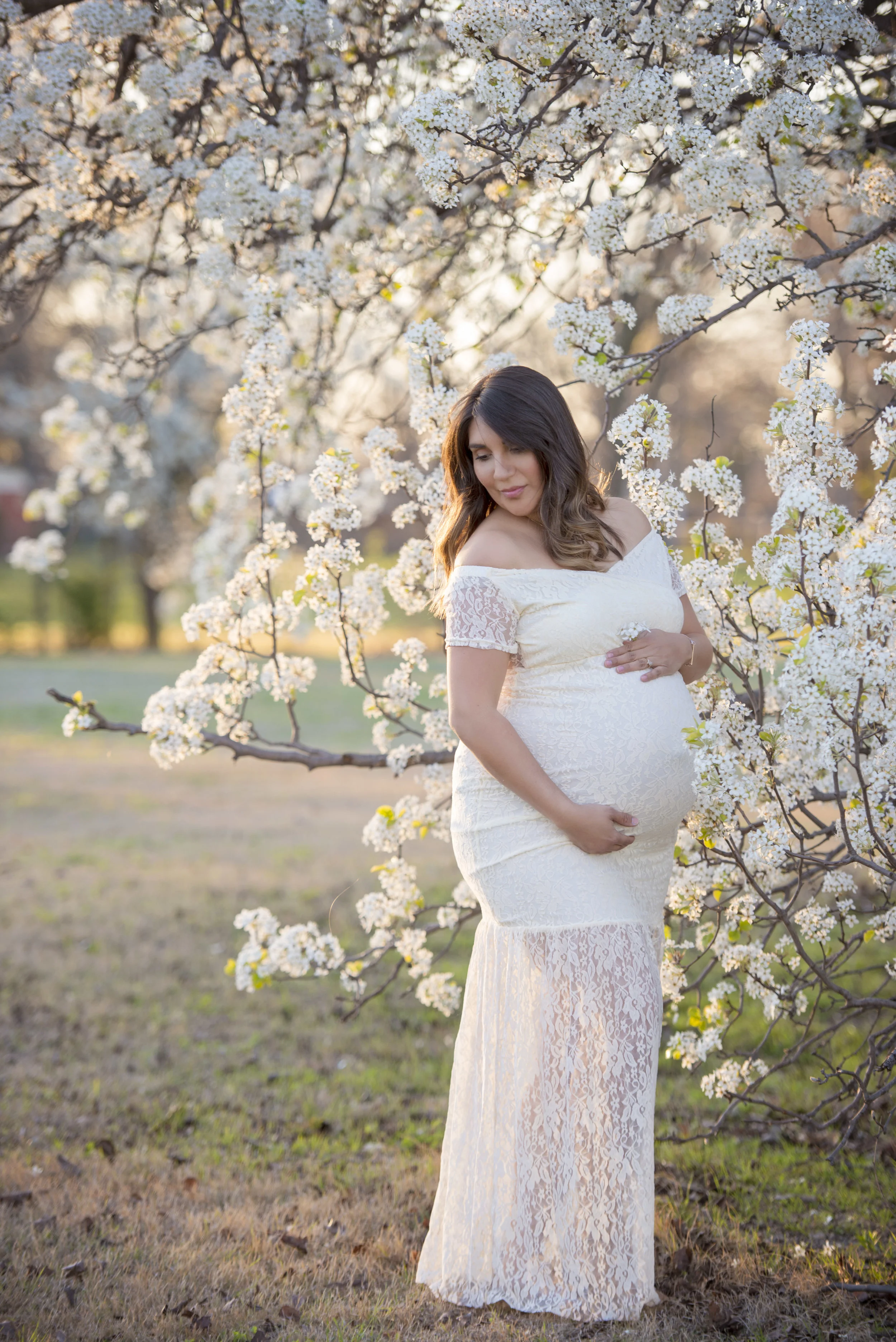 Lace Off Shoulder Gown