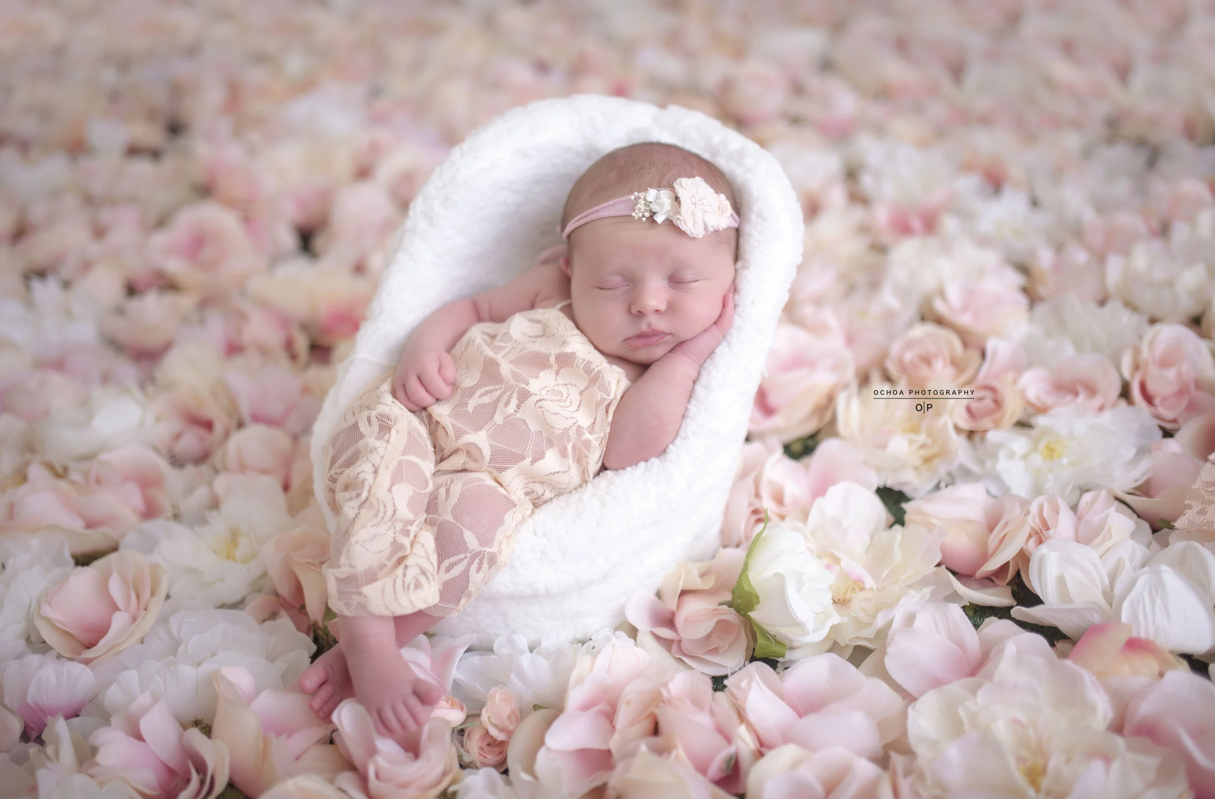 Newborn posing Chair