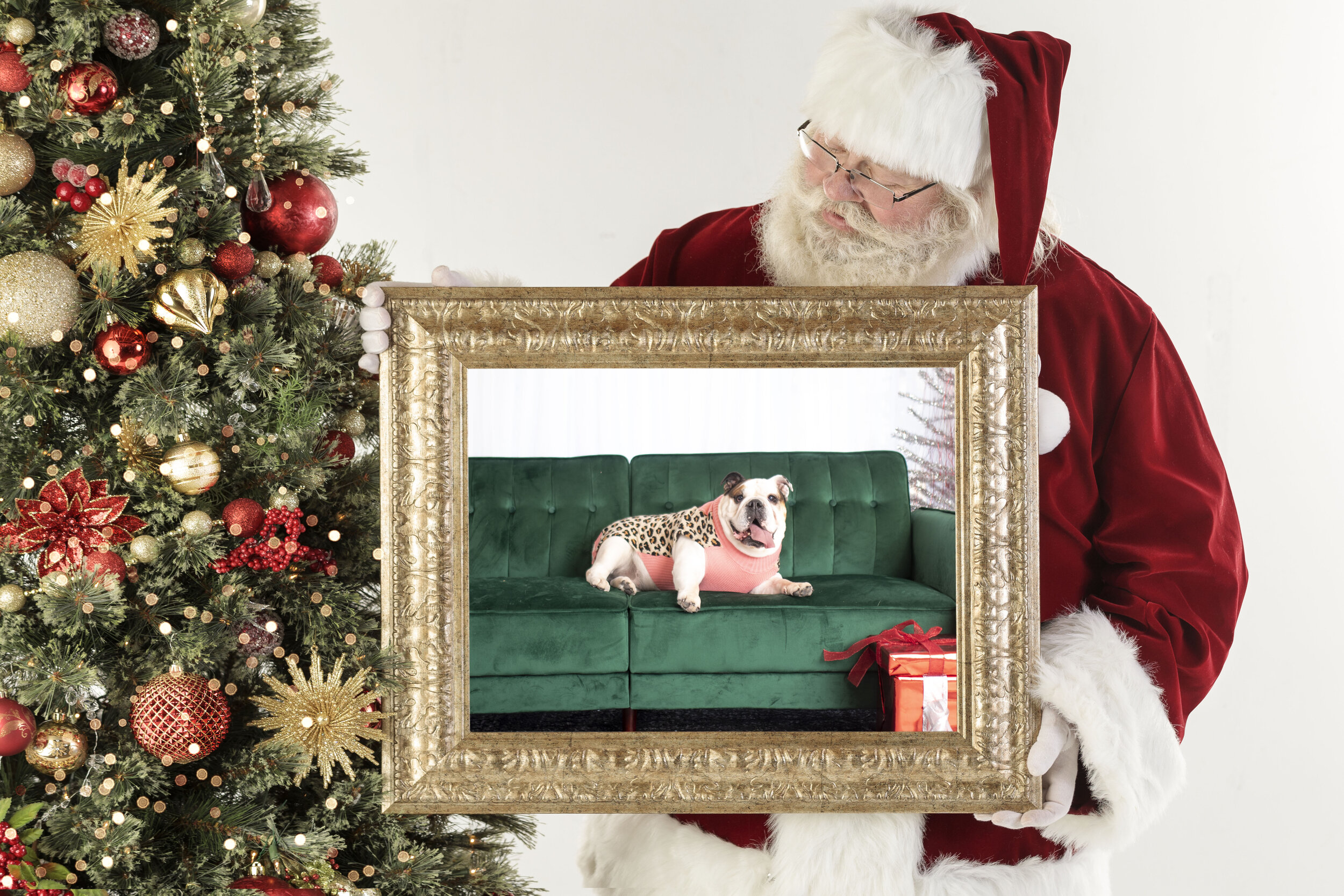 Digital Santa Download