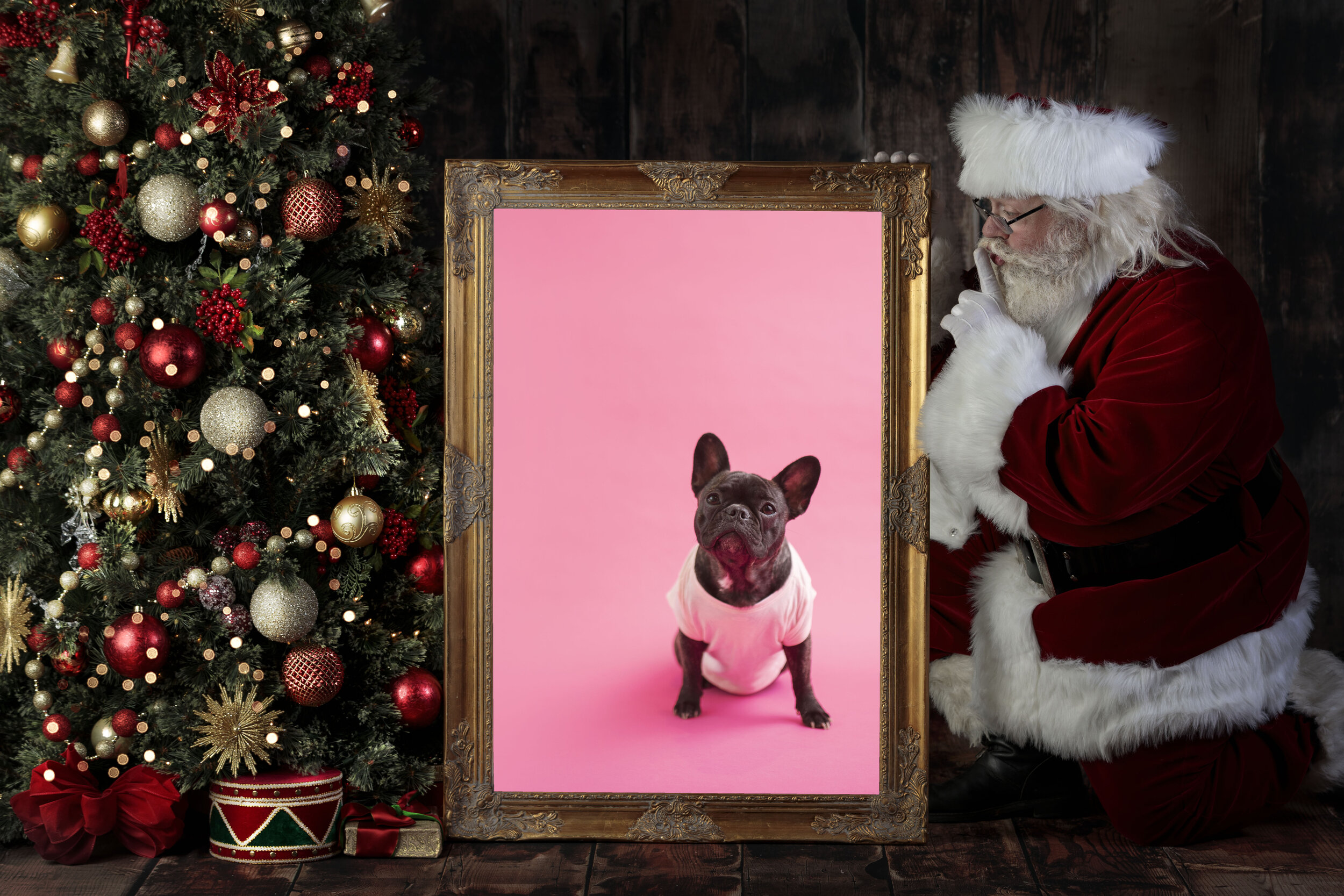 Digital Santa Download Dark Backdrop