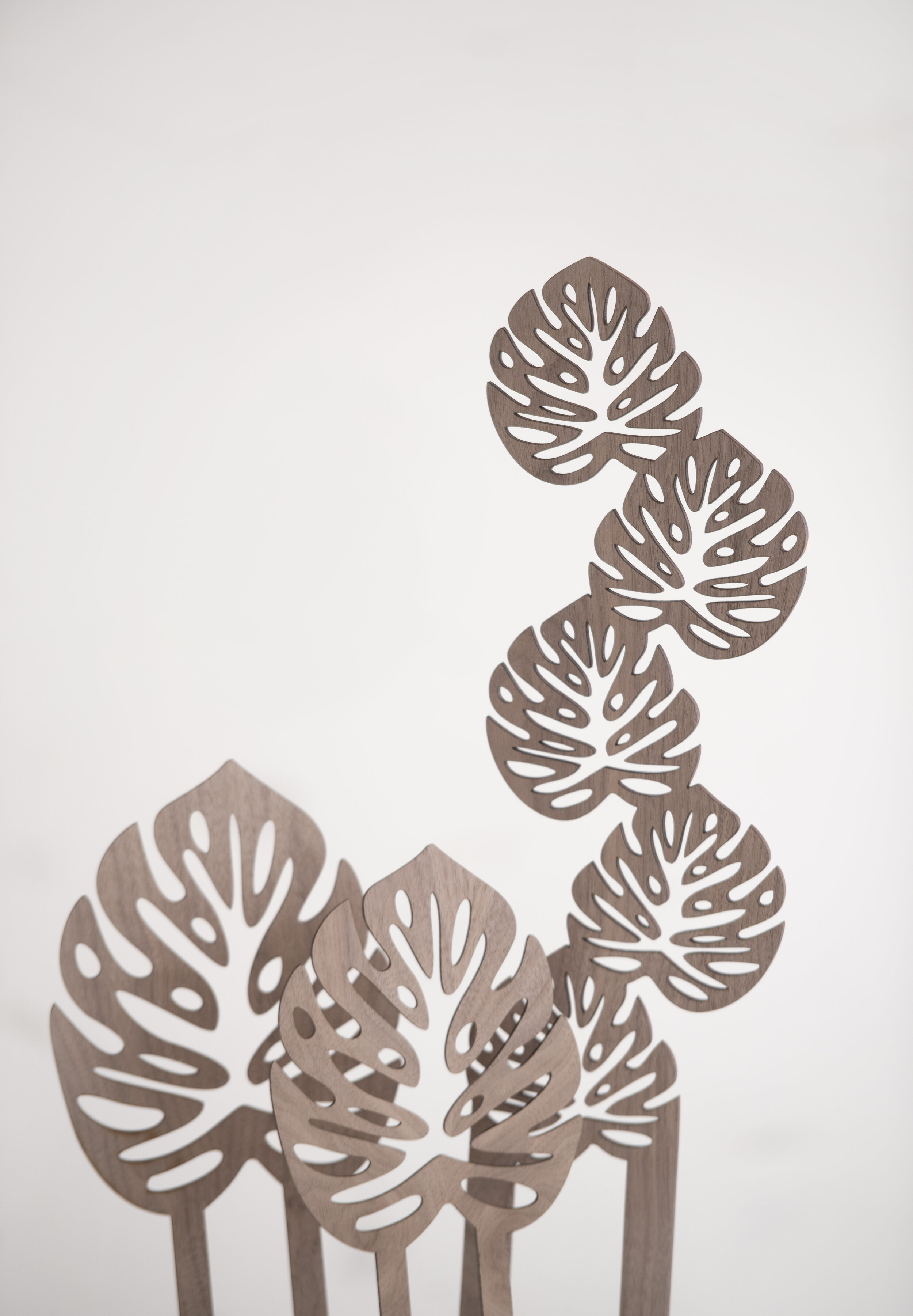 Monstera Ladder Trellis