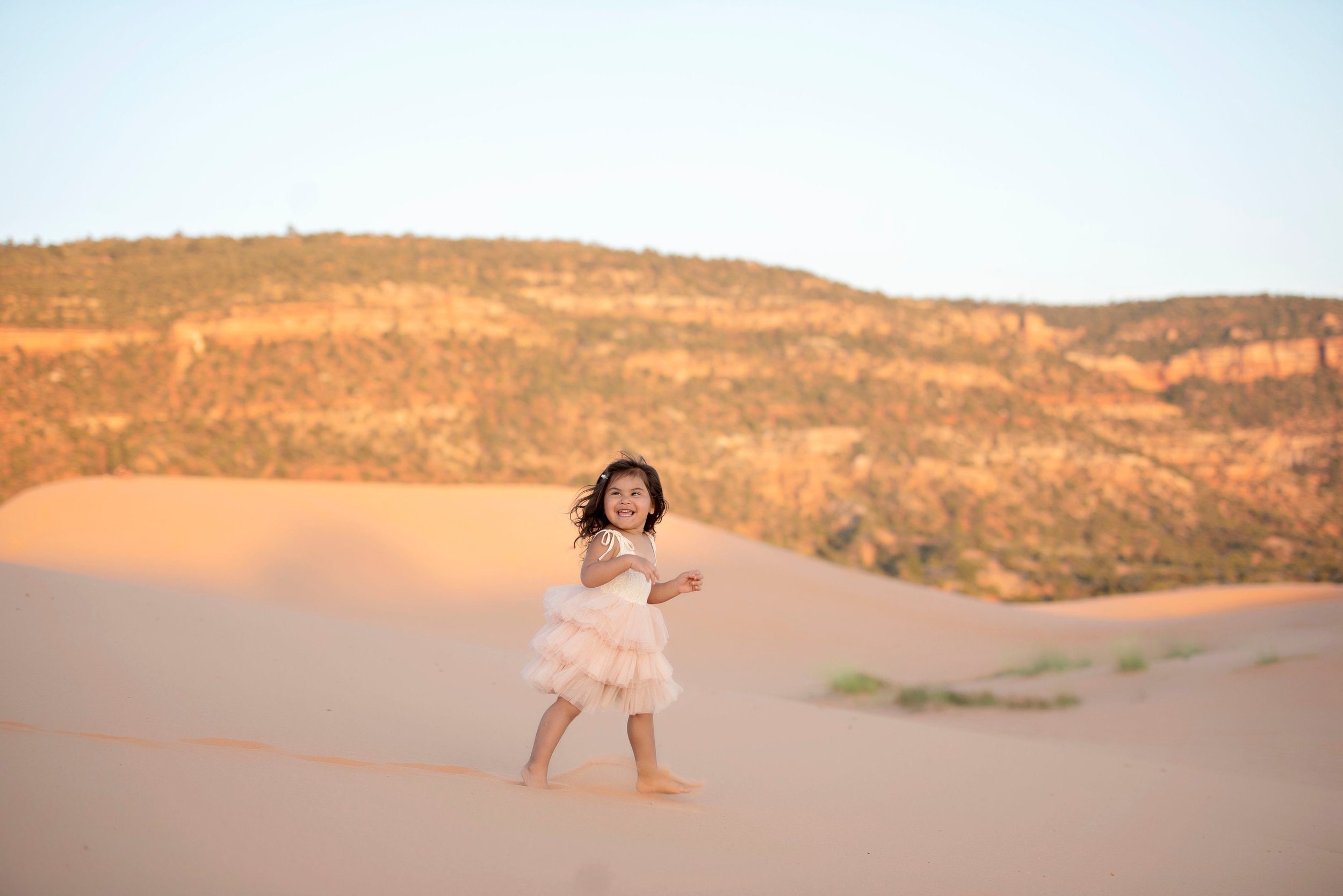 Lace Tutu Dress, Flower Girl Dress