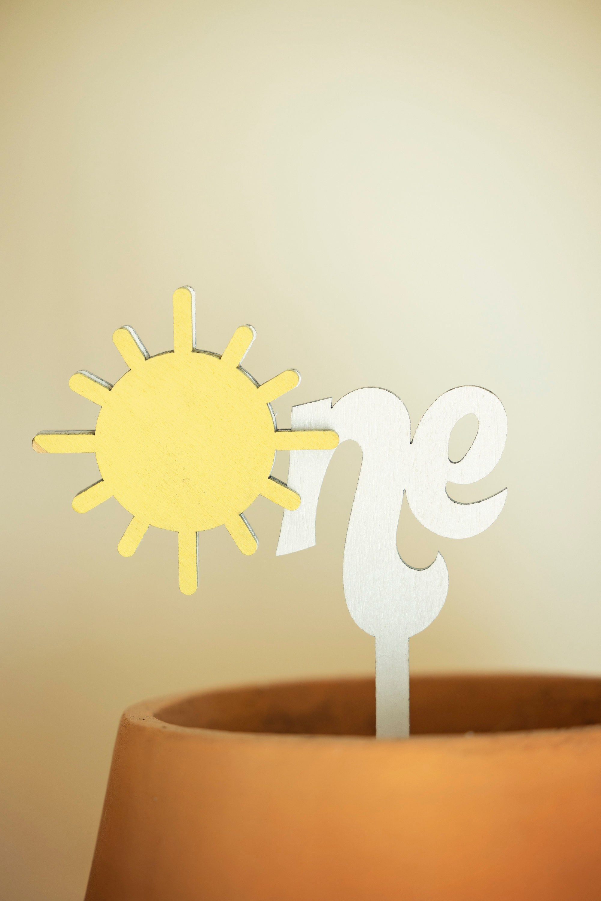 One Year Around the Sun Cake Topper | Cake Topper | Sun Cake Topper | Wood cake Topper