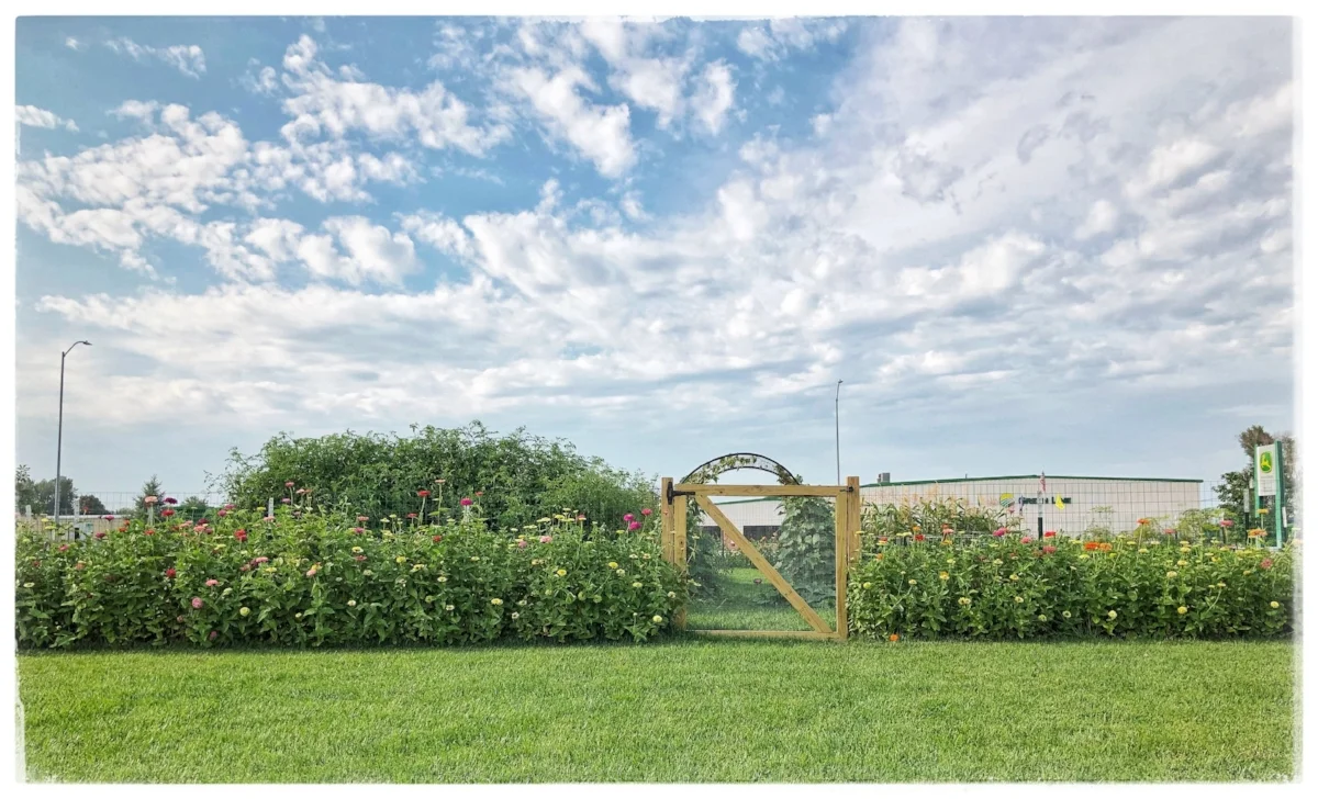 Heart Beets Garden: 2018 Recap!