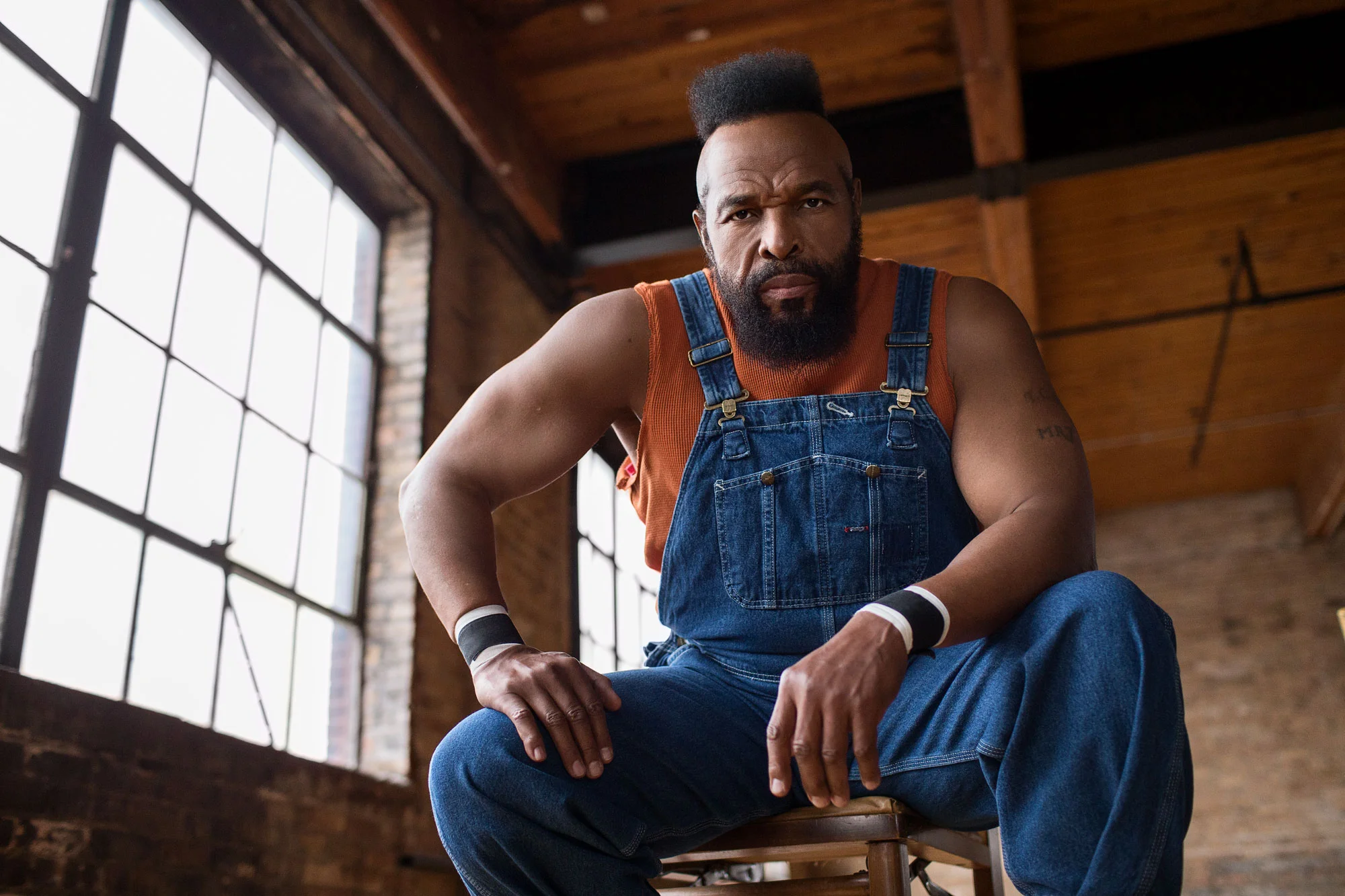 IPittyTheTool_Mr.T_01.jpg
