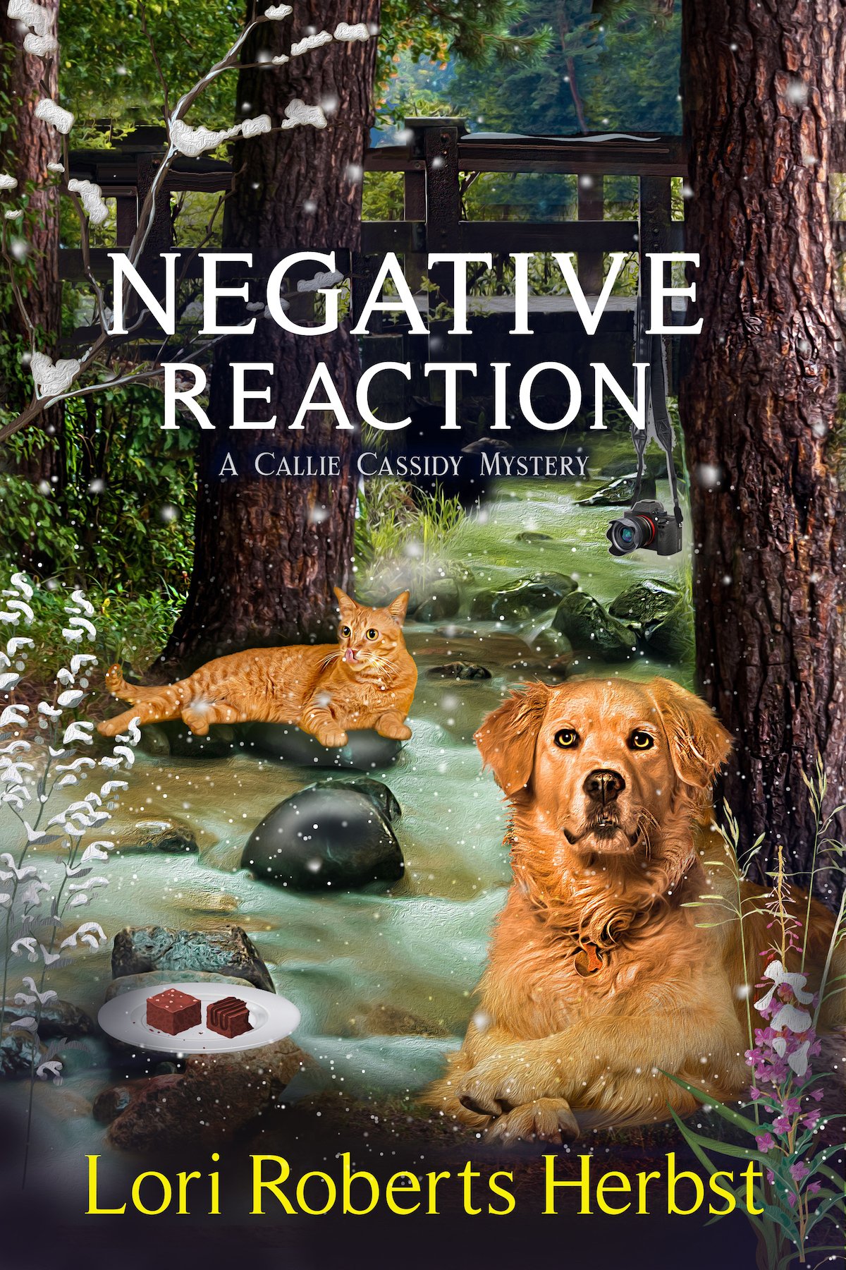 Negative Reaction cover 4x6.jpg