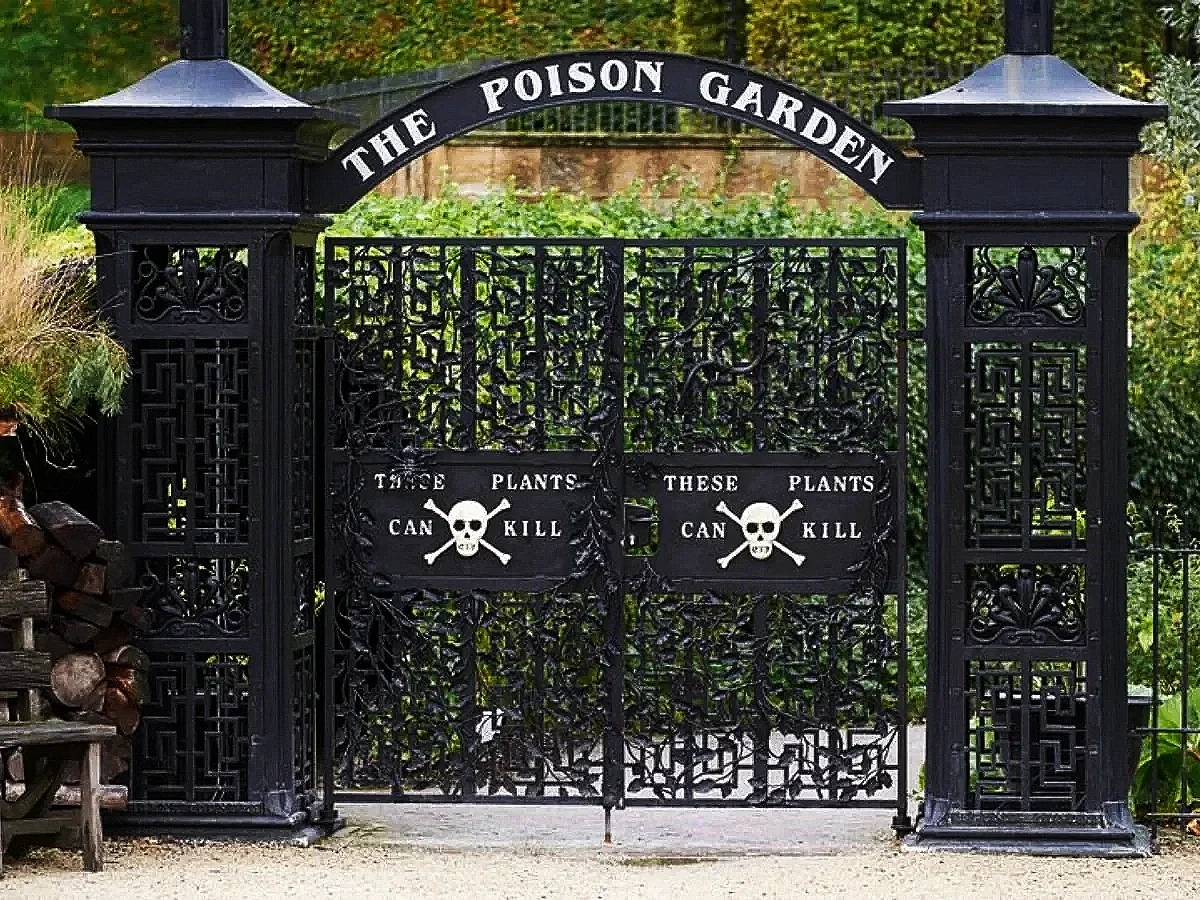 The Poison Lady