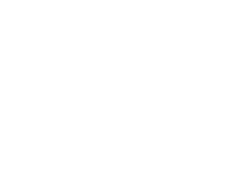 ico-methodology.png