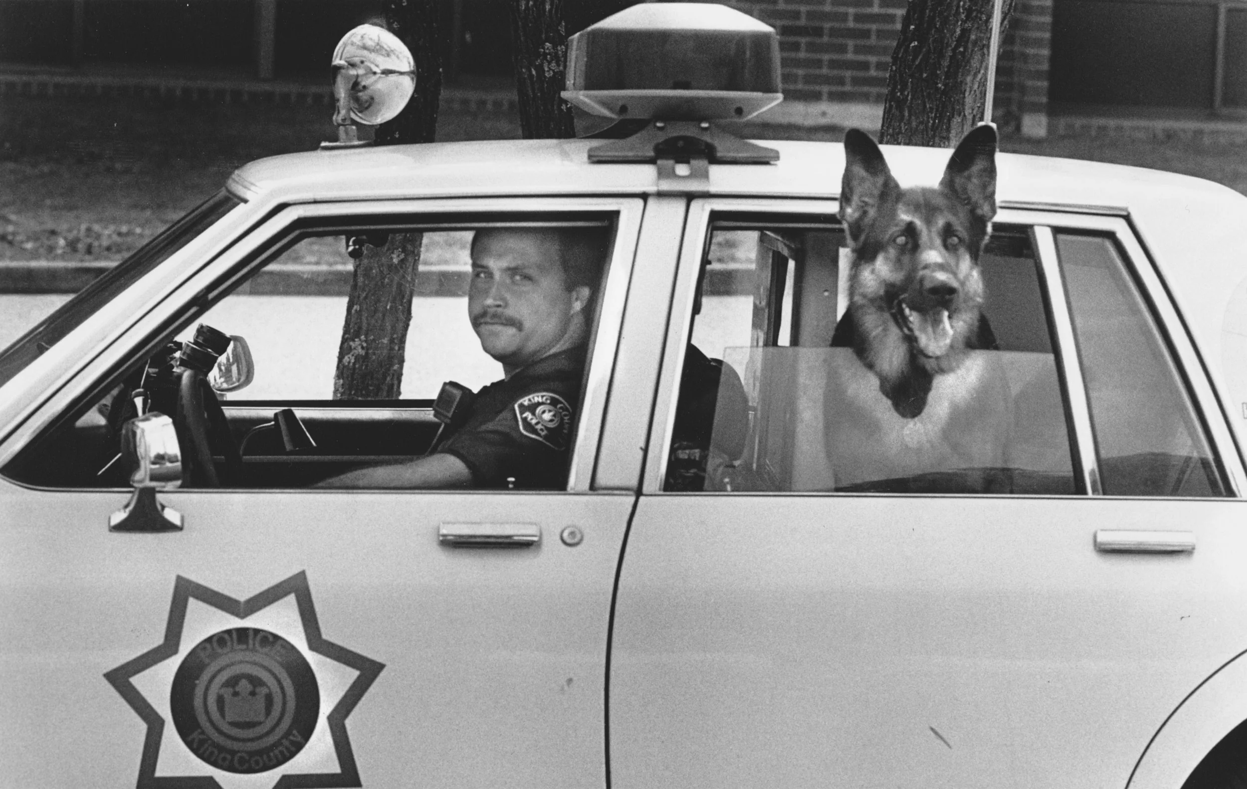 Police K9 Randy Vehicles — Seattle Metropolitan Police Museum