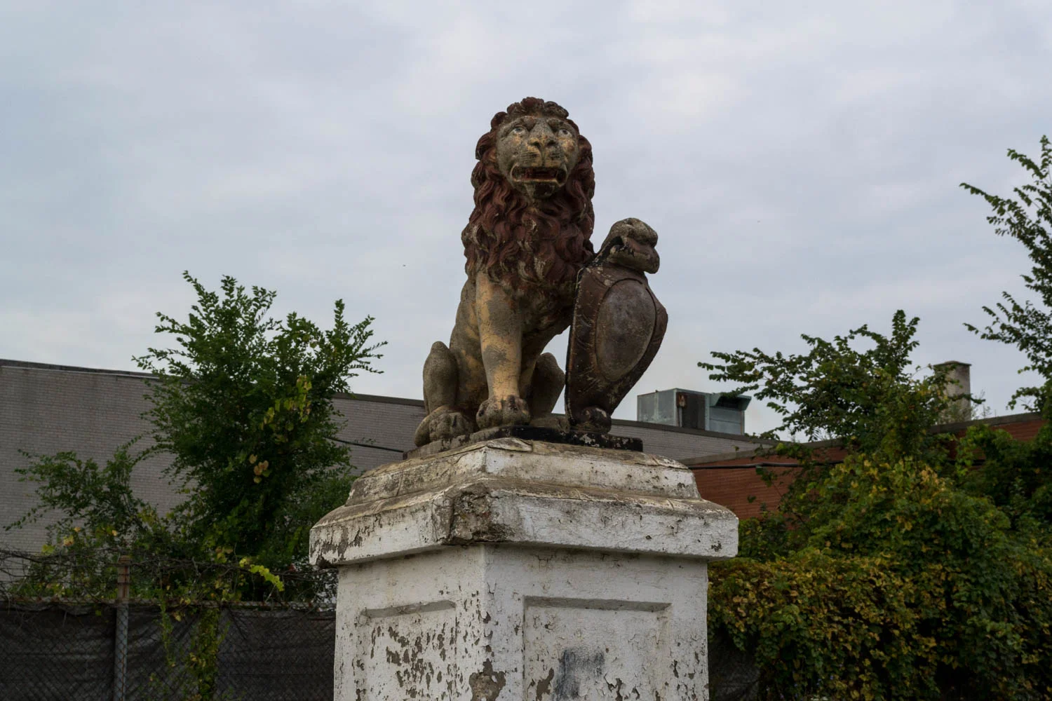 Lion of Nevada St.