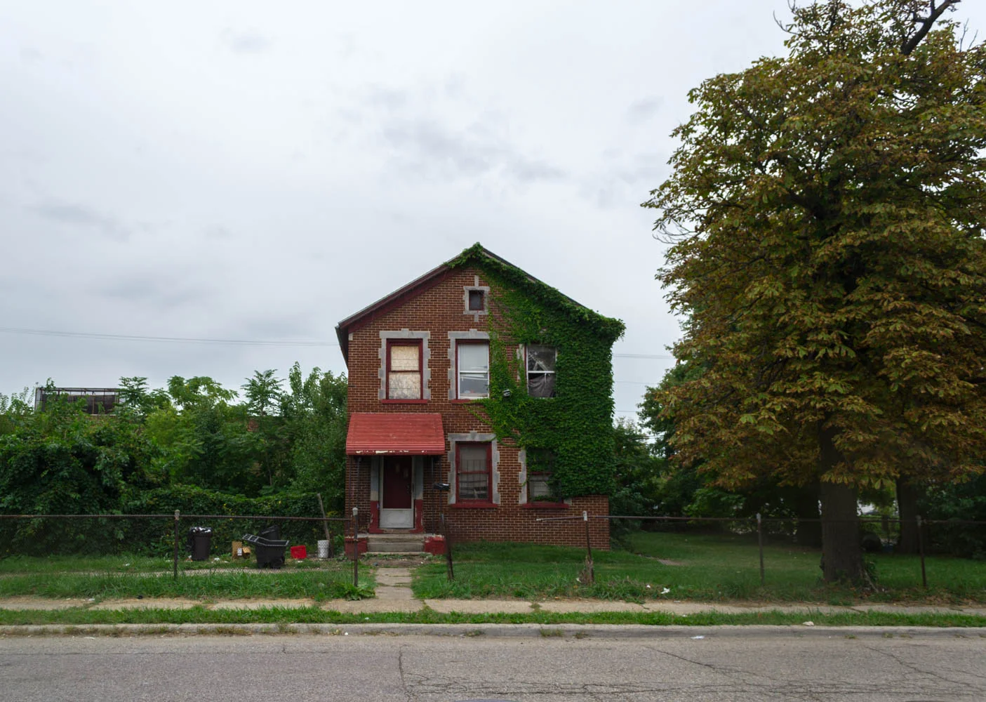 Half House/Half Vines