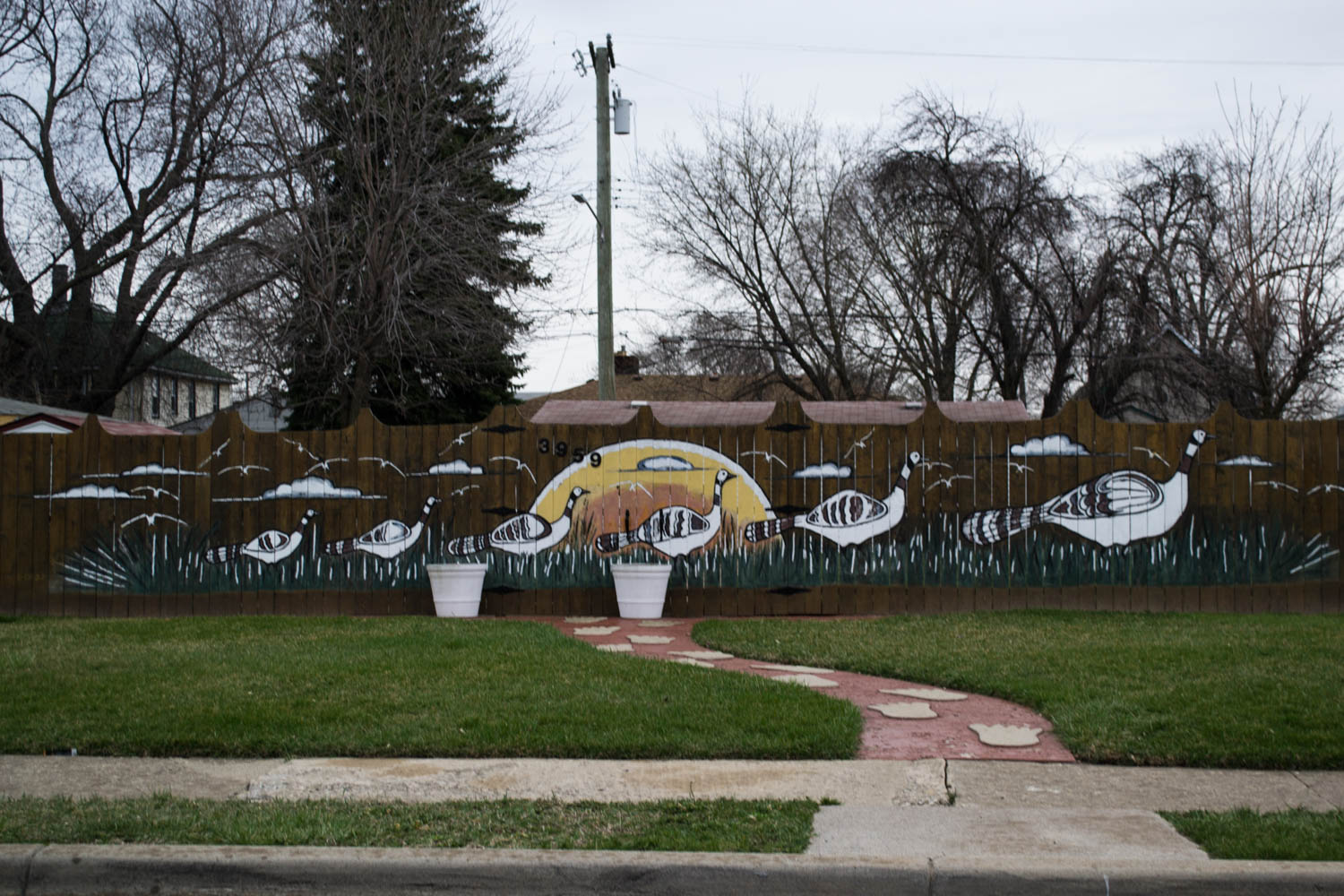 Birds Mural on Fence