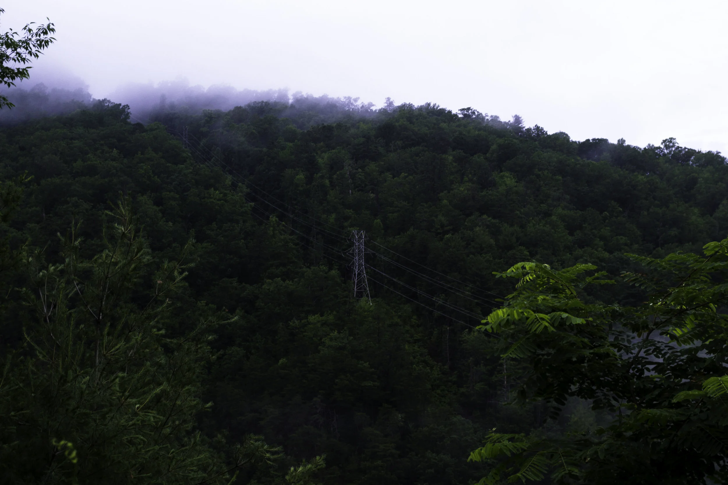 Deep in the Smokeys