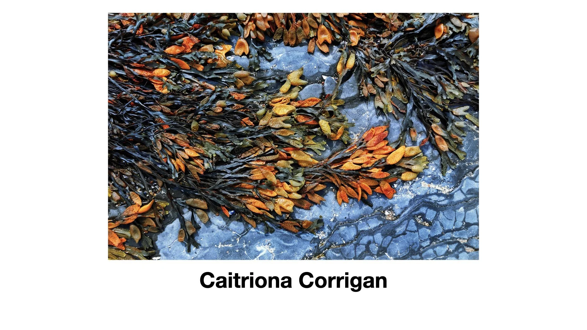 PPANI_2021_Award Script.020.jpeg