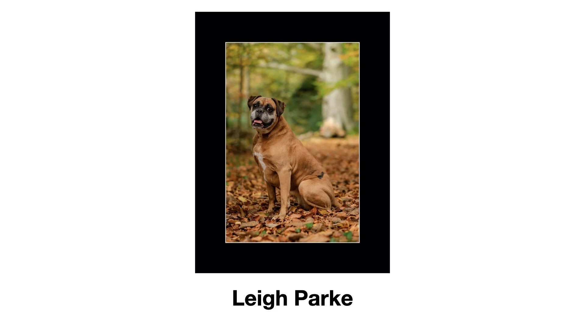 PPANI_2021_Award Script.122.jpeg