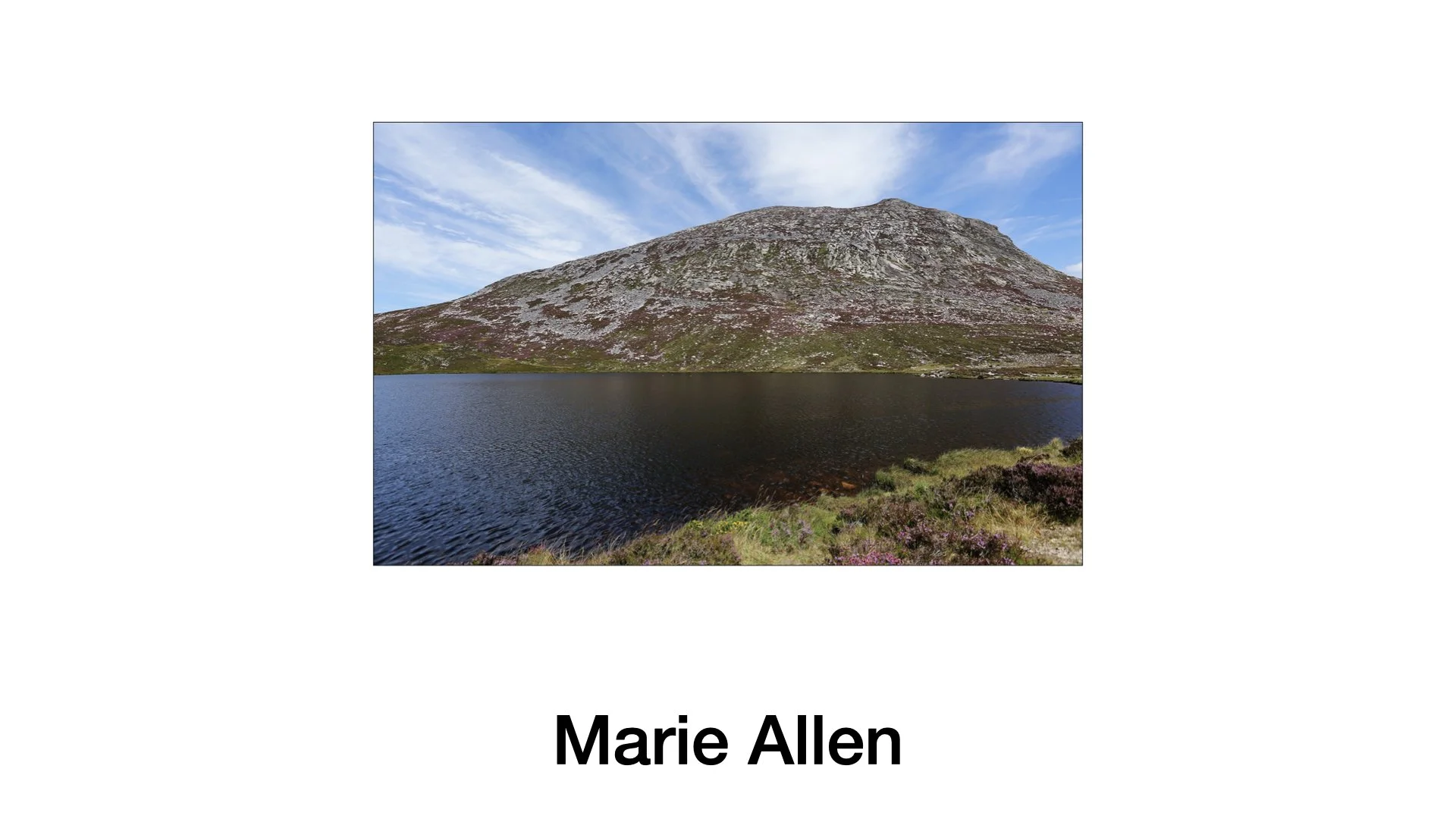 PPANI 2023 Finalists_presentation.029.jpeg