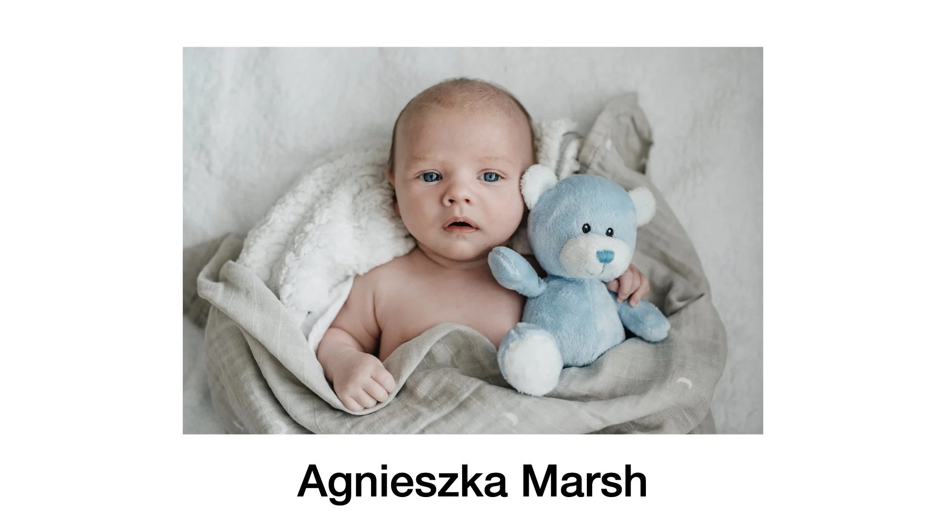 PPANI 2023 Finalists_presentation.077.jpeg