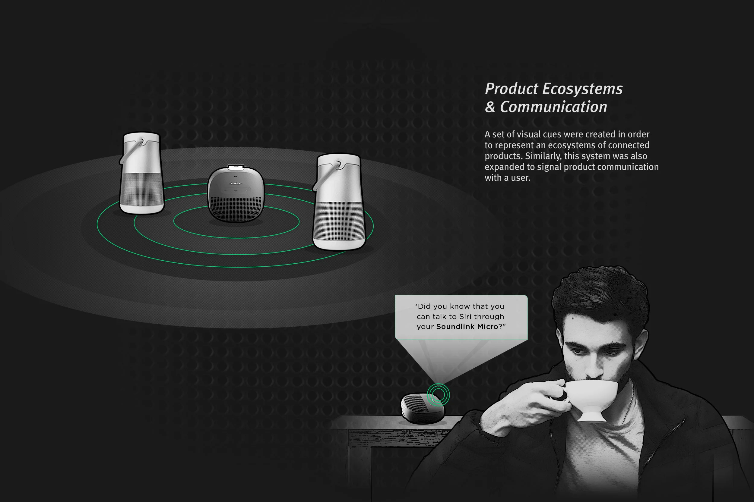 Bose-CaseStudy_Product-ecosystems.jpg