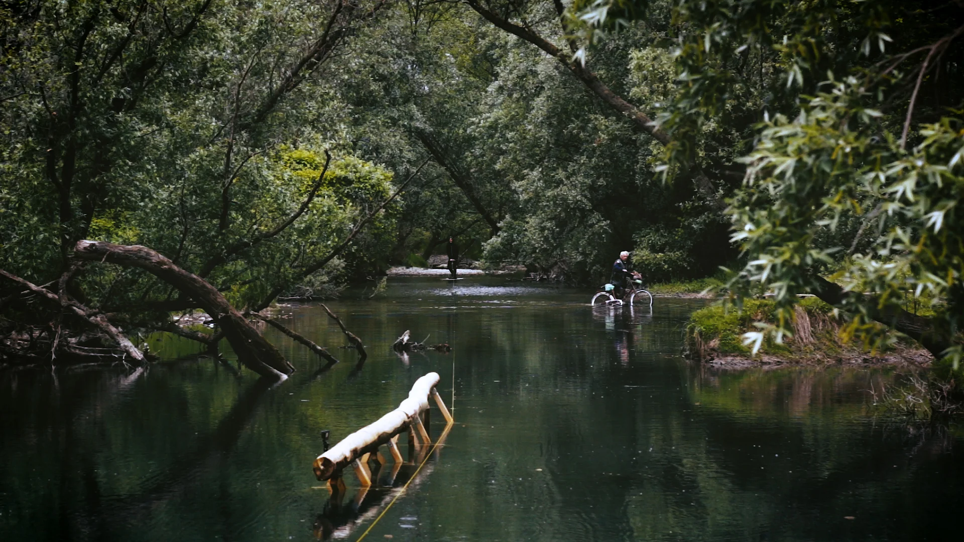 Sequenza 01.00_00_44_13.Immagine003.jpg