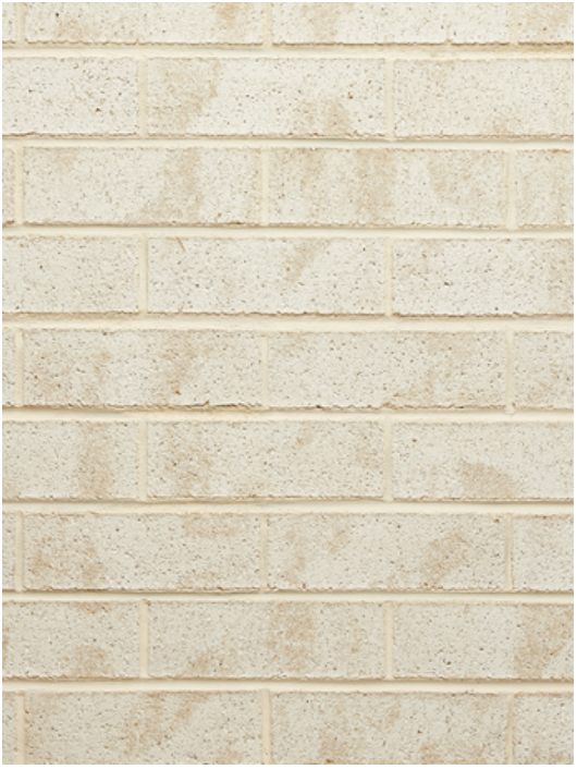 Screen Shot 2019-02-28 at 4.32.54 PM.png