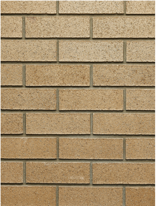 Screen Shot 2019-02-28 at 4.33.38 PM.png