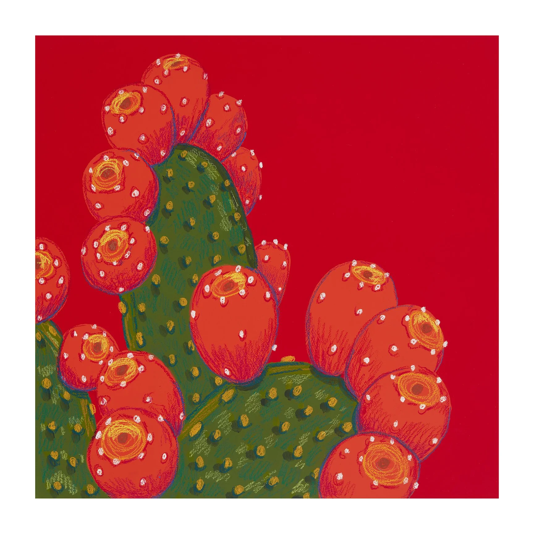 Original Art: Prickly Pear 19, 20x20