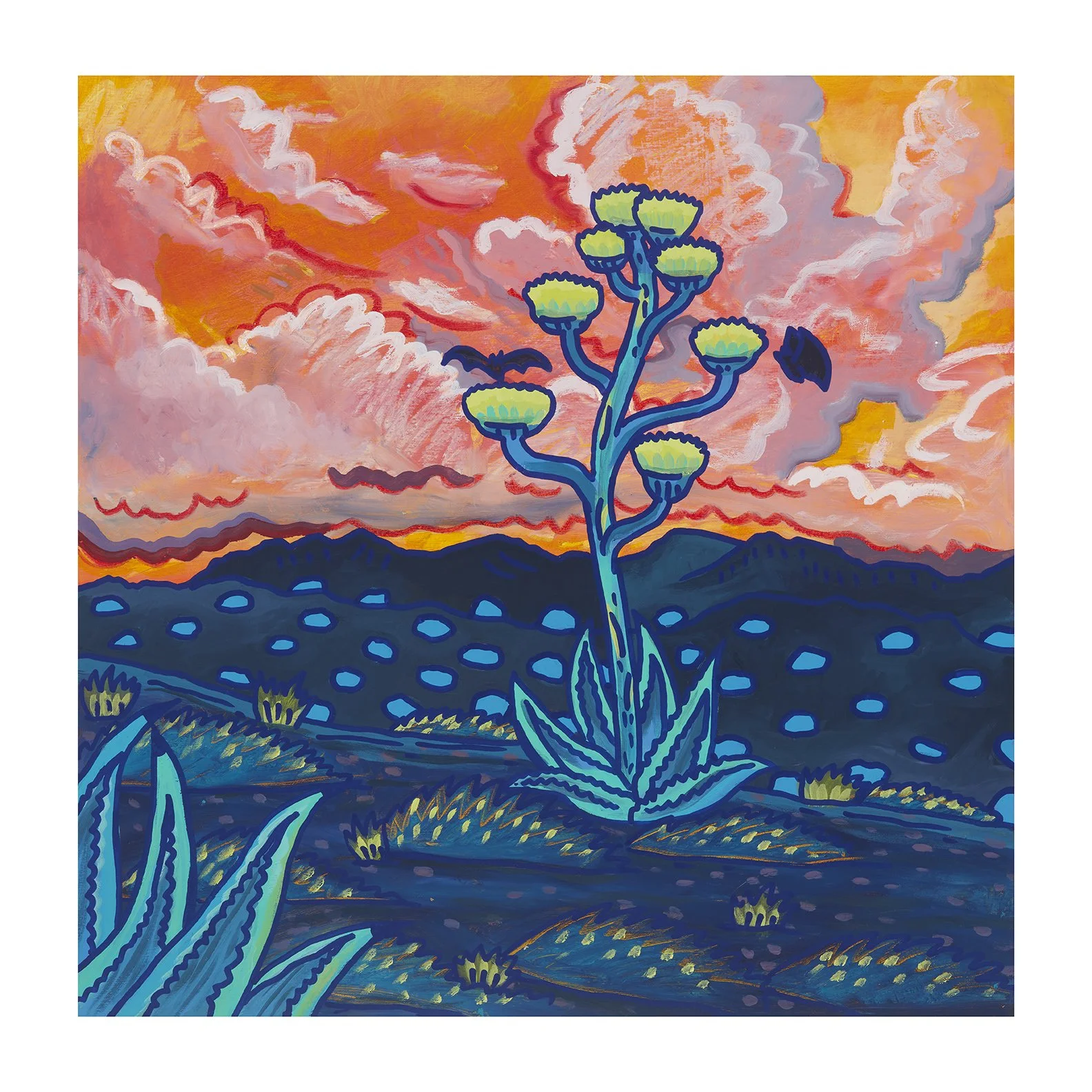 Original Art: Agave Sunset 2026, 20 x20