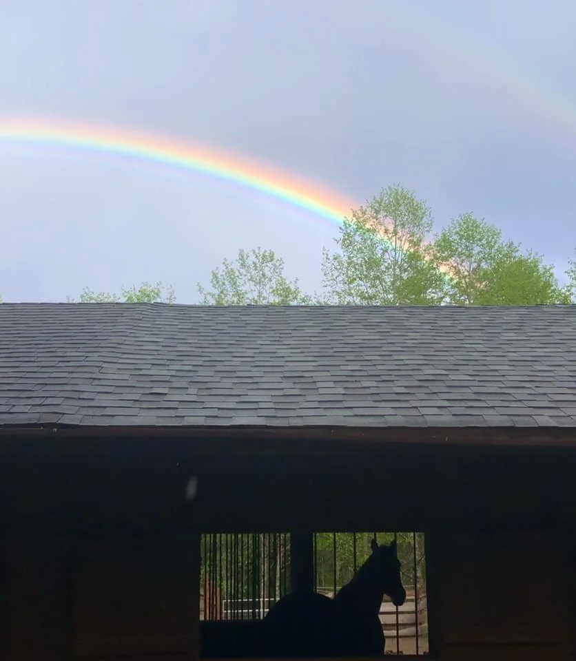 I think our horses appreciate the rainbows, too.