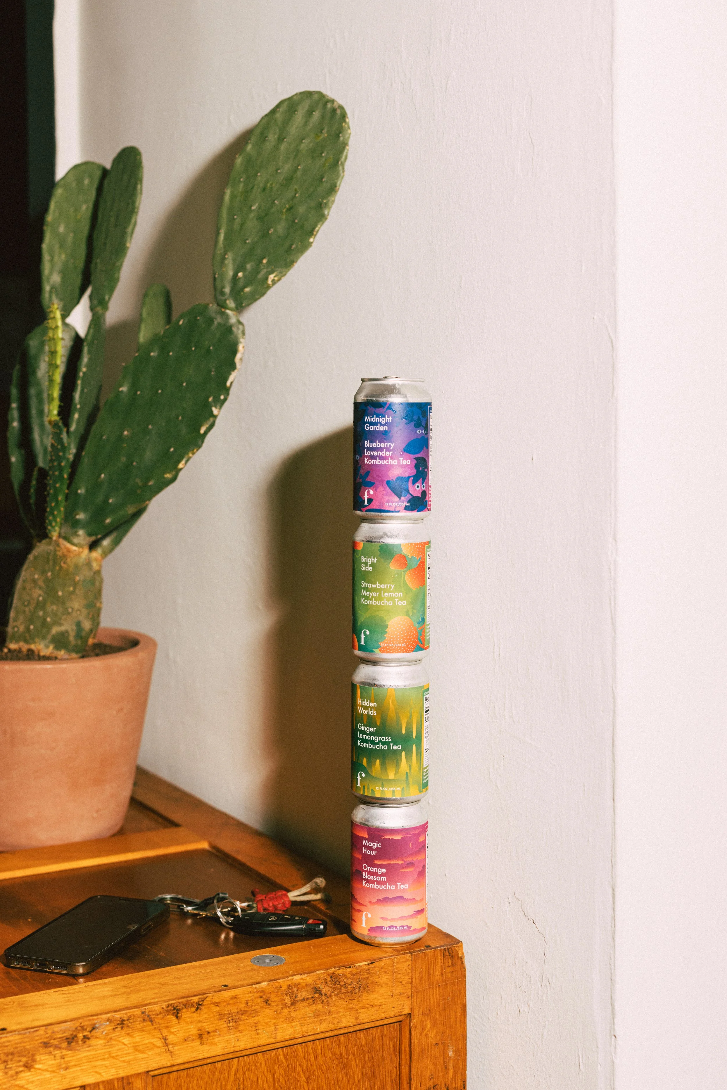 AfterlightImage 25.JPG