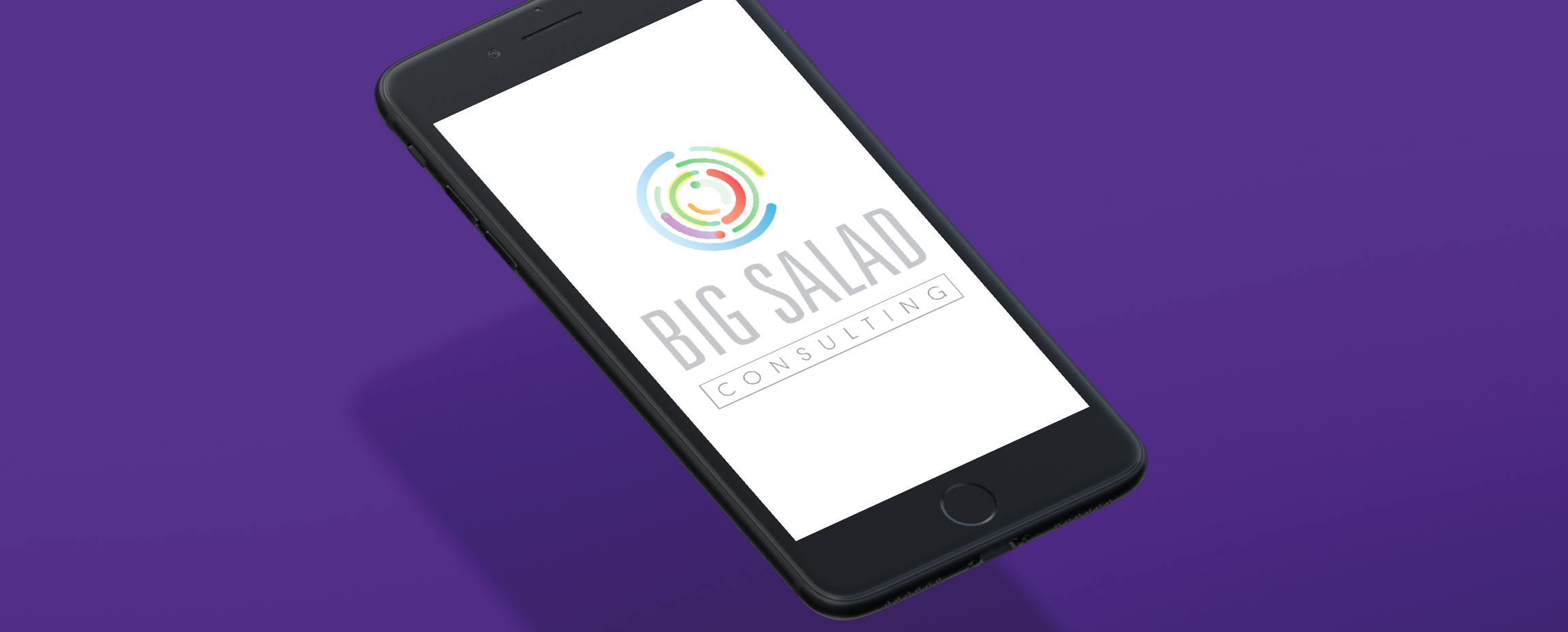 Big-Salad-Logo.jpg