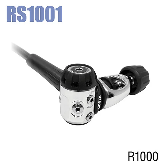 RS1.jpg