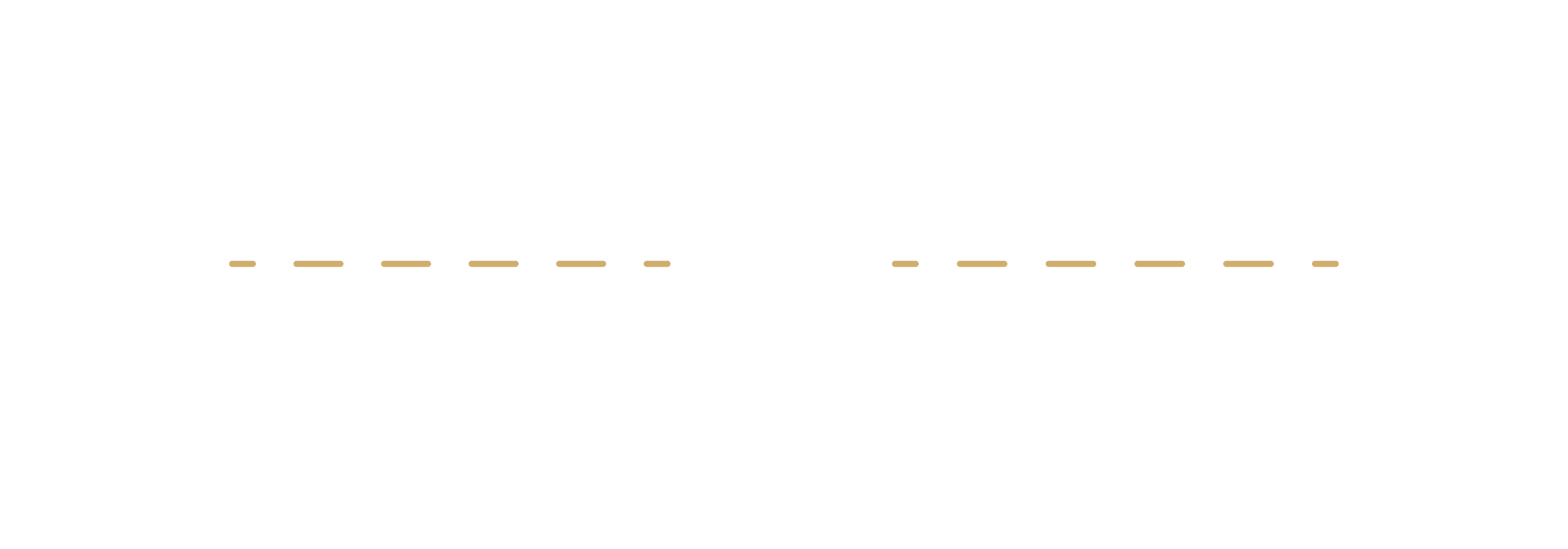 tortilla chip pricing.png