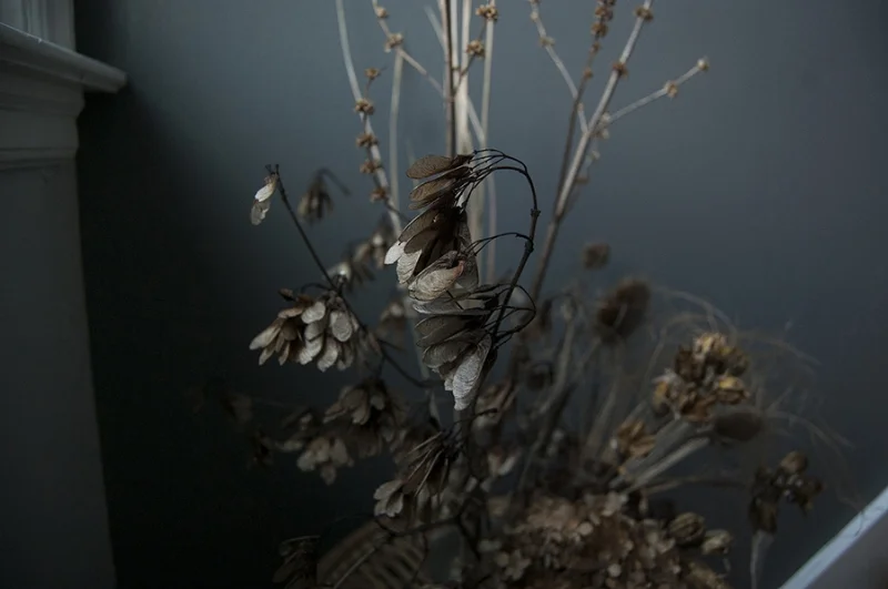 Jan6_WindflowerDesignCoSM.jpg
