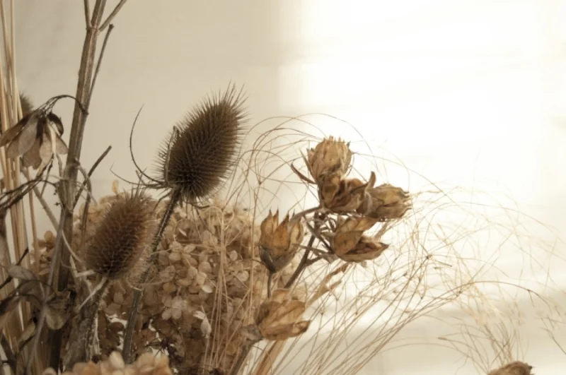 Jan12_WindflowerDesignCo.jpg.jpg