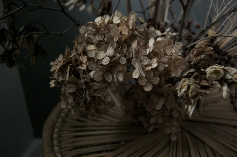 Jan3_WindflowerDesignCo.jpg