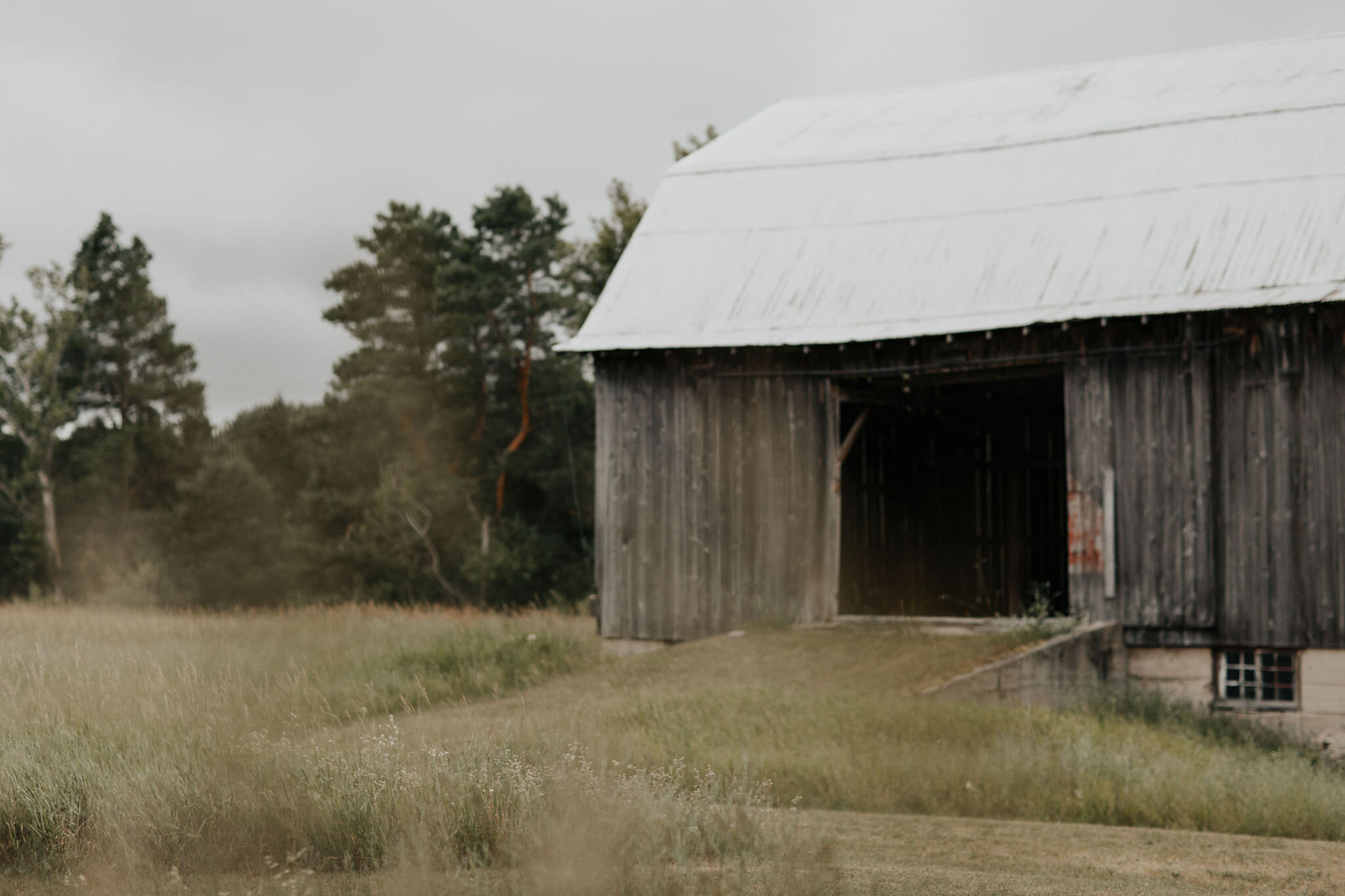 Leelanau-Peninsula-Wedding-Rehearsal-Allison-Tim-Vafa-Photo10.jpg