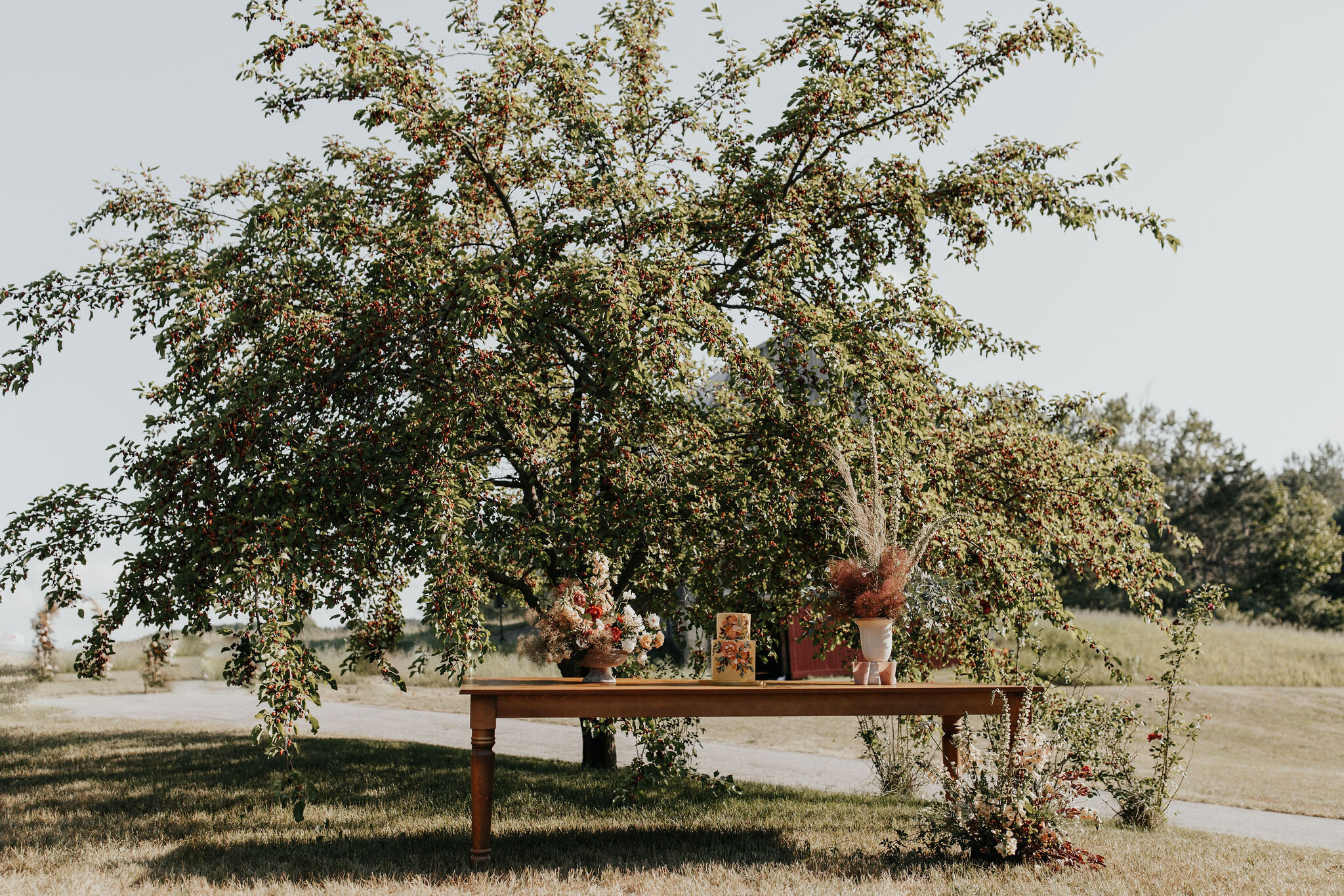 Leelanau-Peninsula-Wedding-Allison-Tim-Vafa-Photo511.jpg