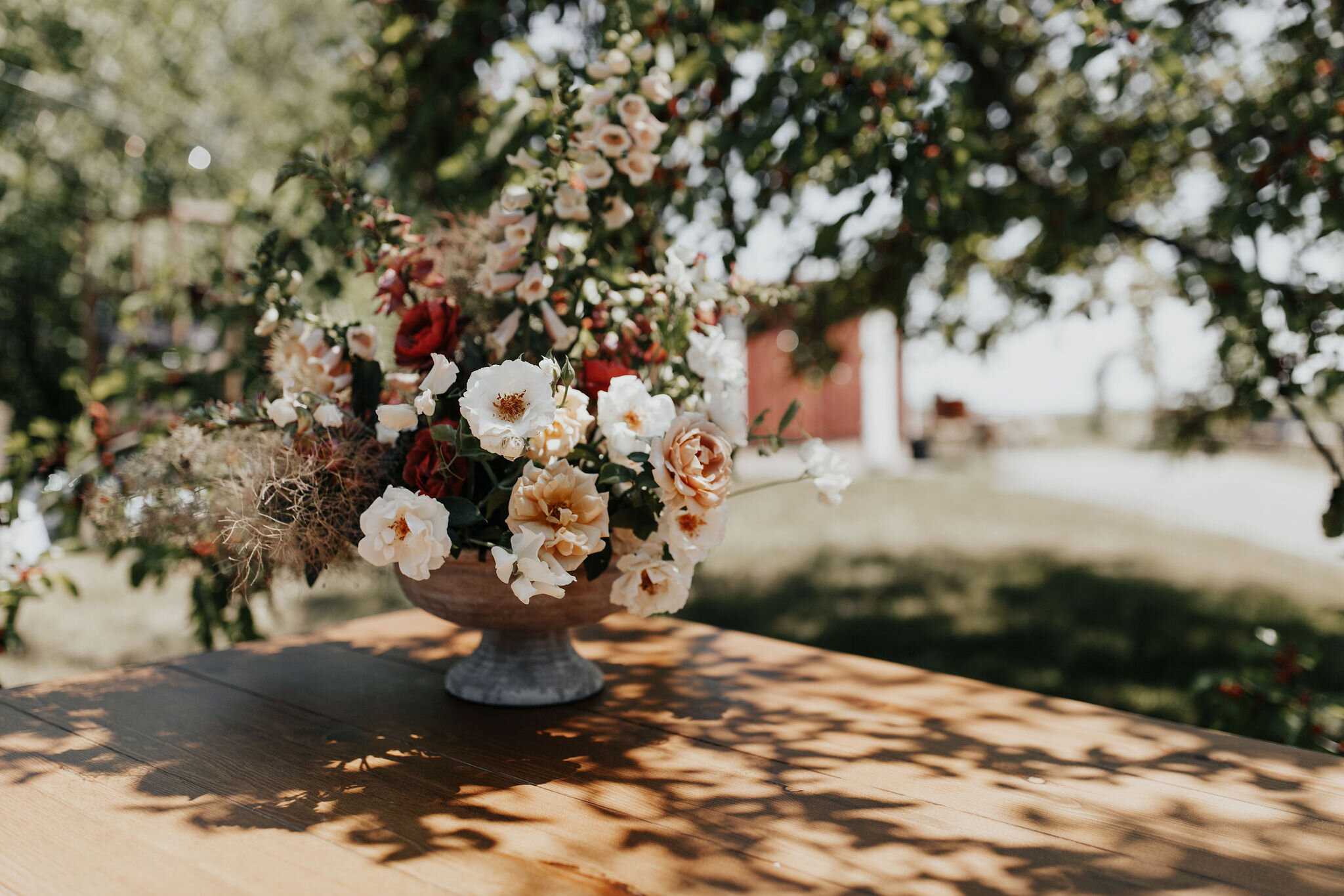 Leelanau-Peninsula-Wedding-Allison-Tim-Vafa-Photo516.jpg