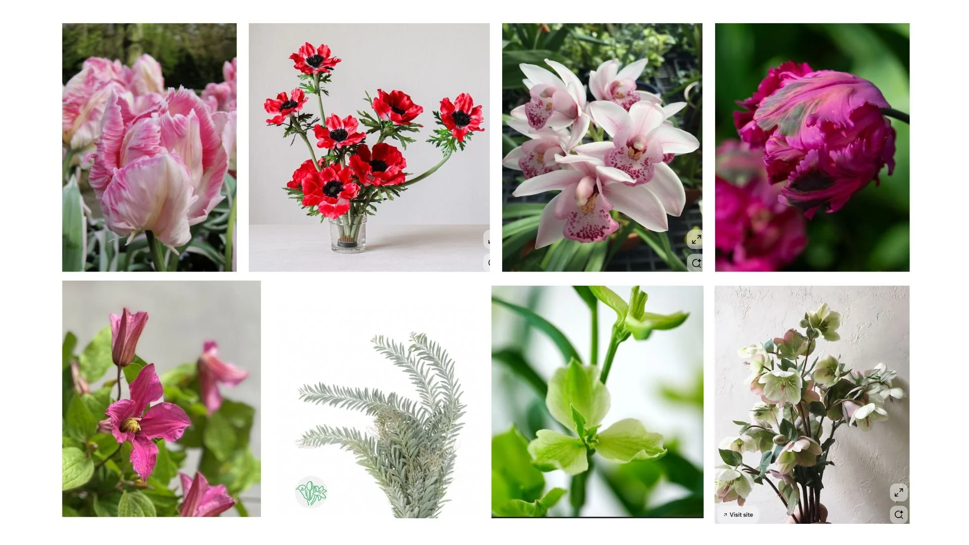 Valentine's Day Blooms