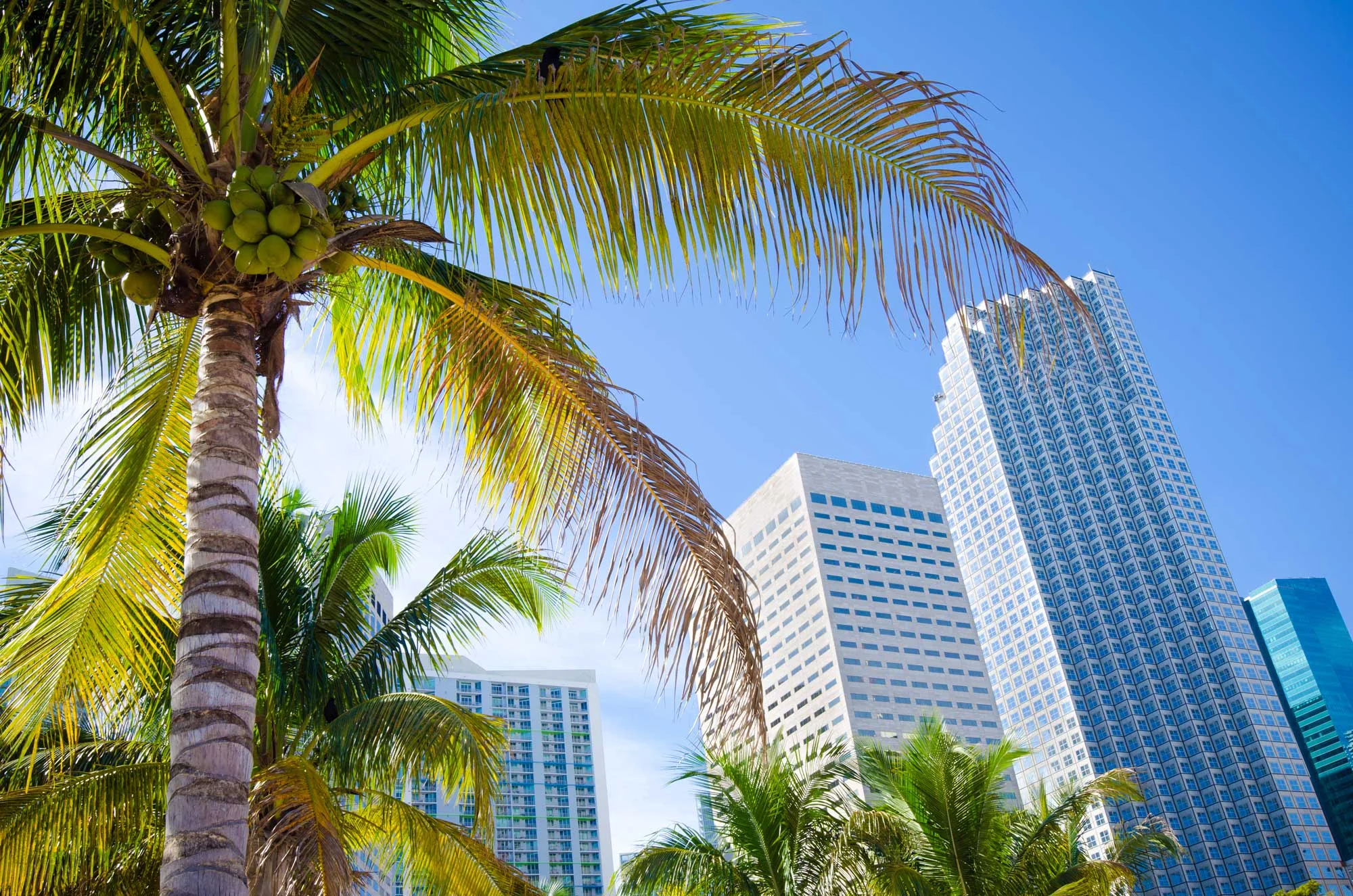 Roth-Law-Title-Miami-13.jpg