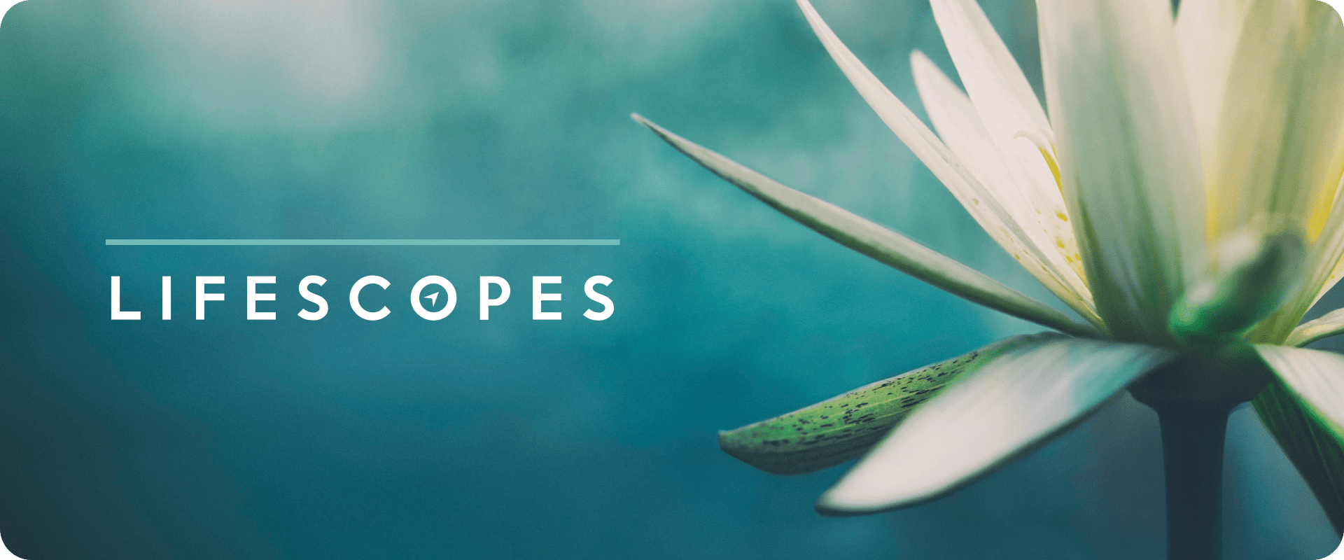 LifescopesEmail - ProjectBanner-min.png