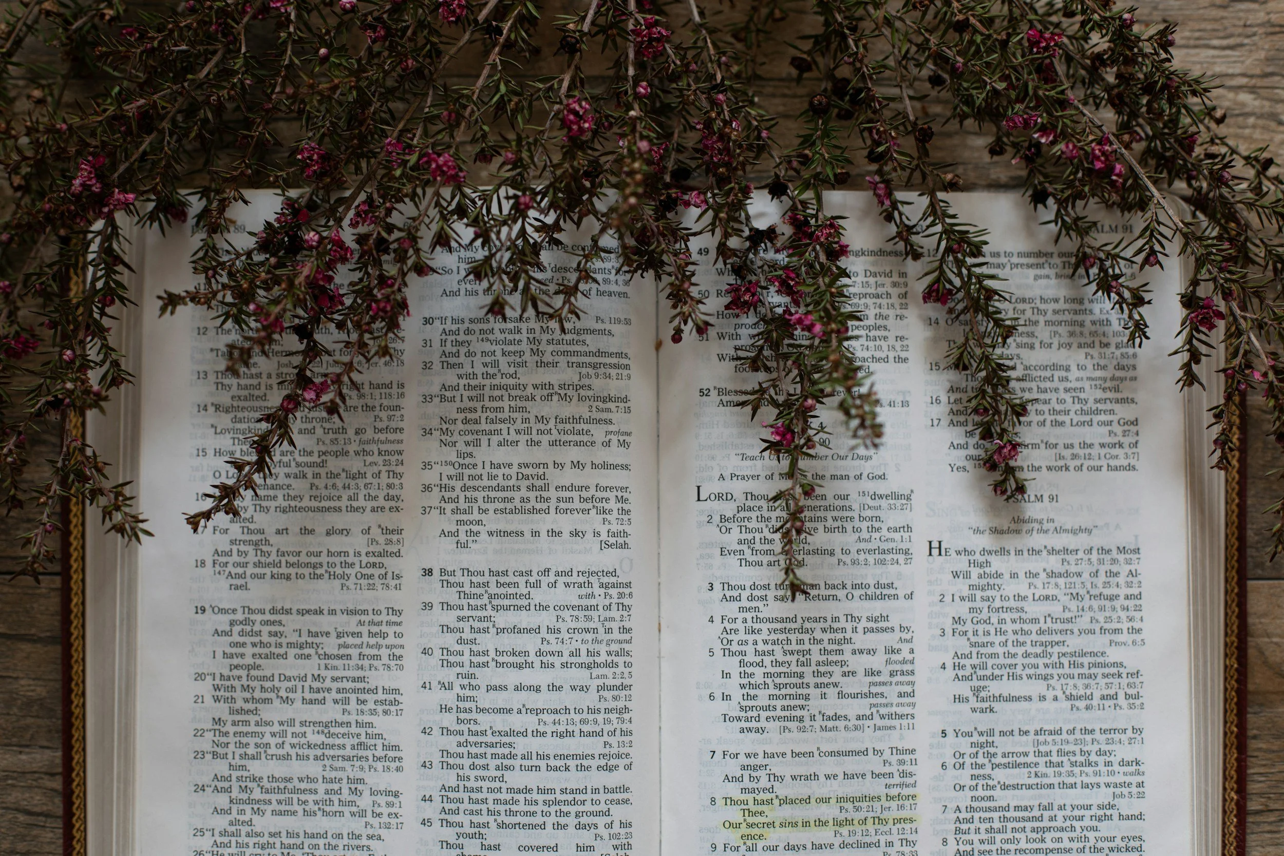 unsplash-image-CvcK0MWjMgI.jpg