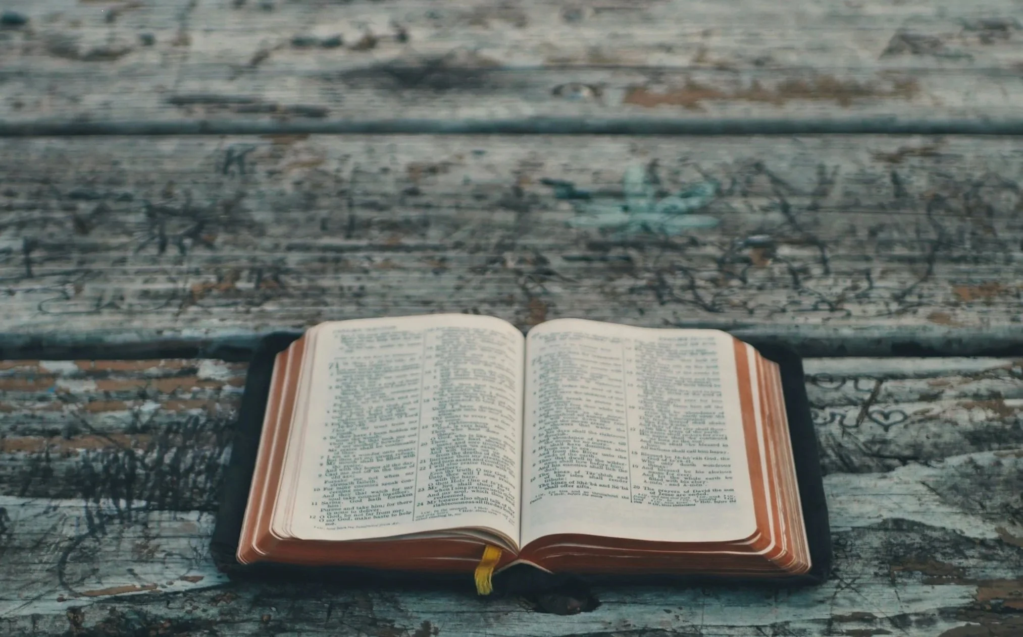 Women's Bible Fellowship