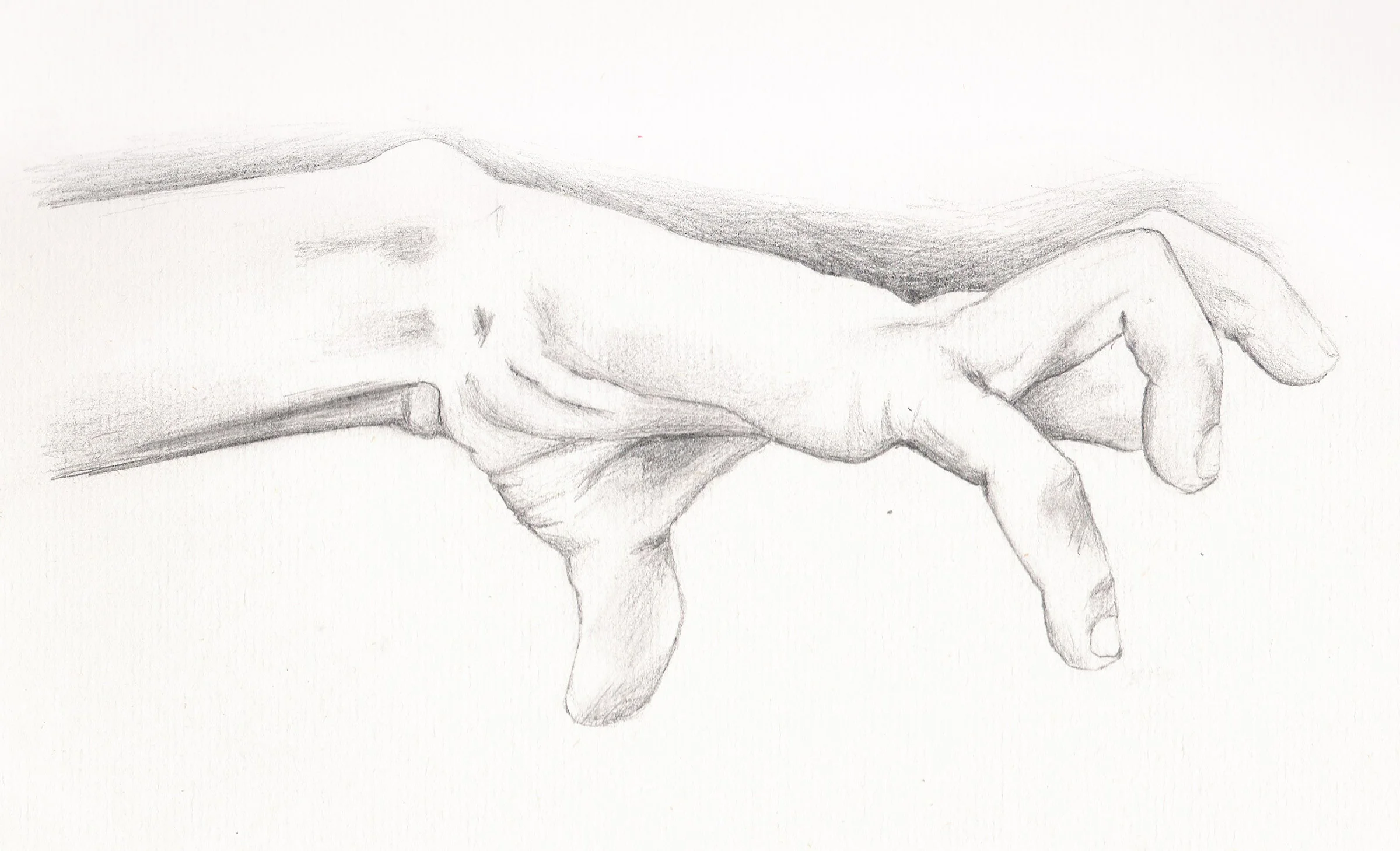 hand1.jpg