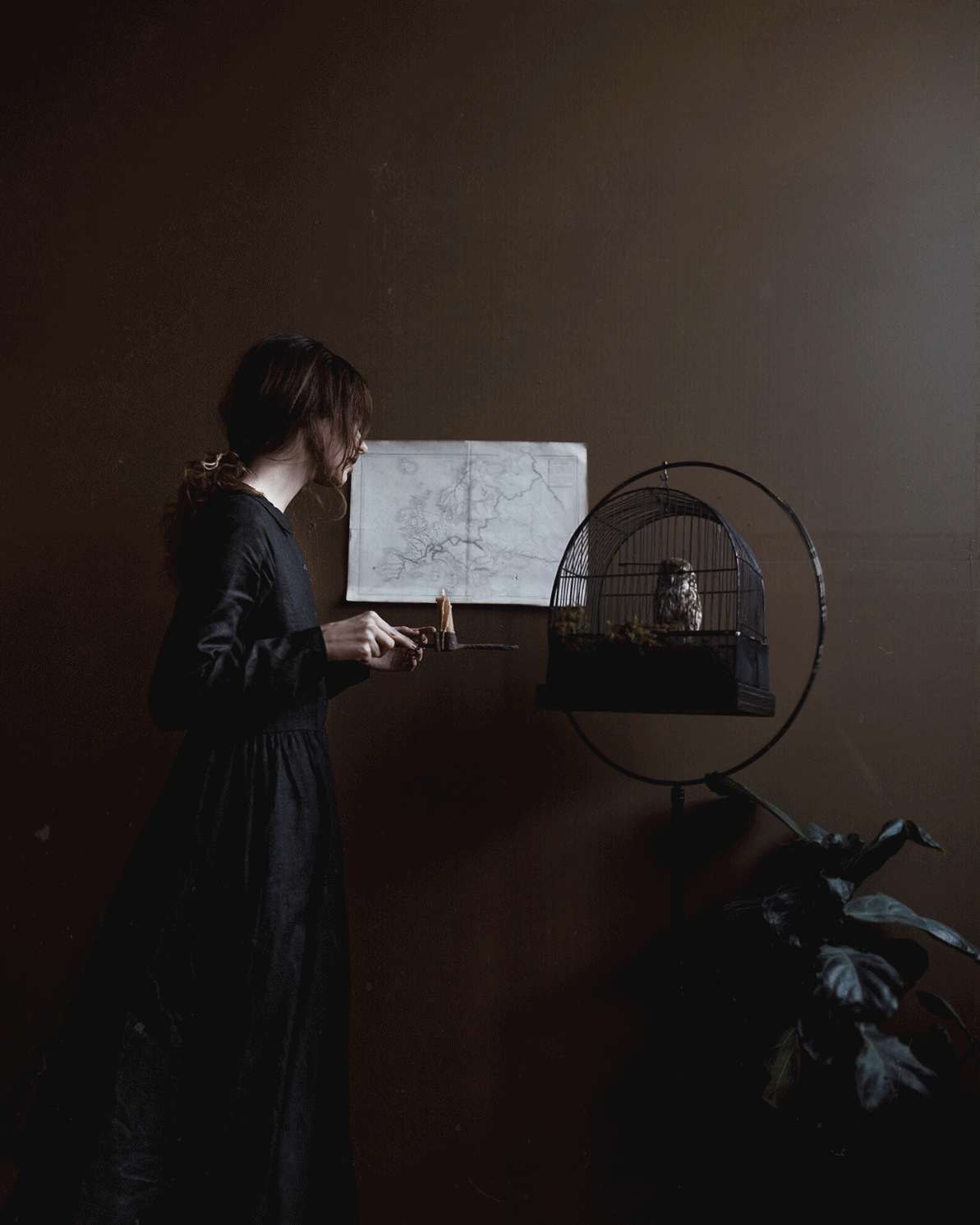 owl-real-(Converted).gif