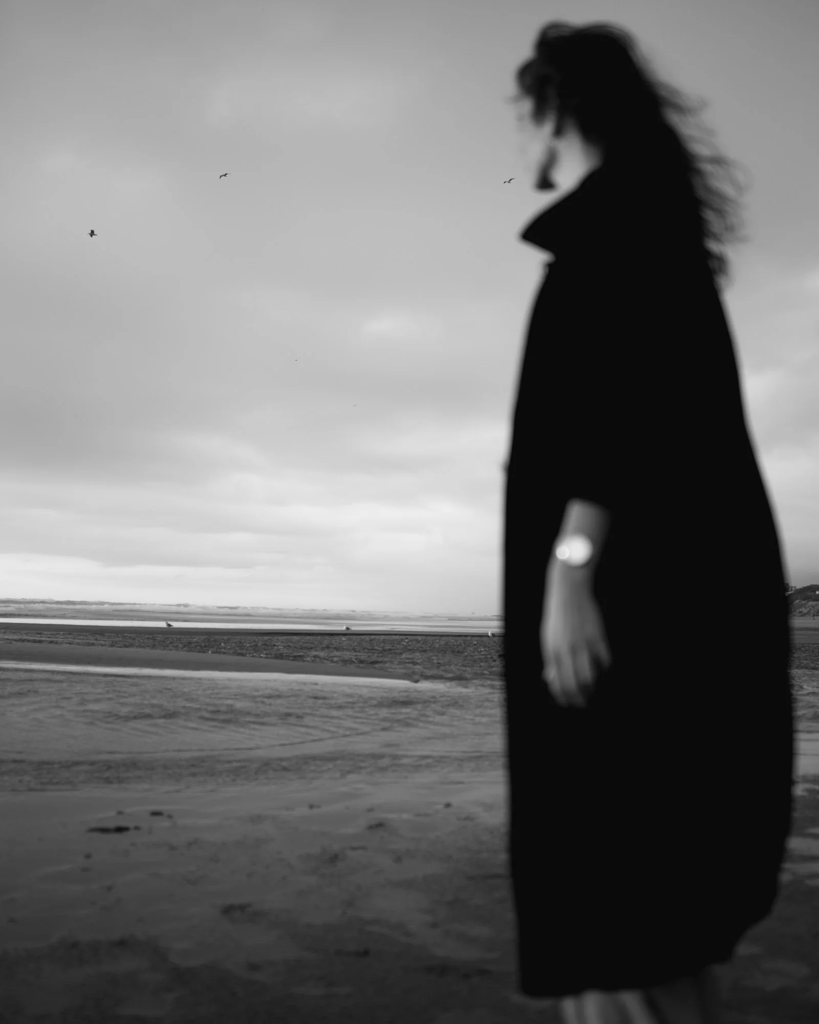 5C6A9299.jpg
