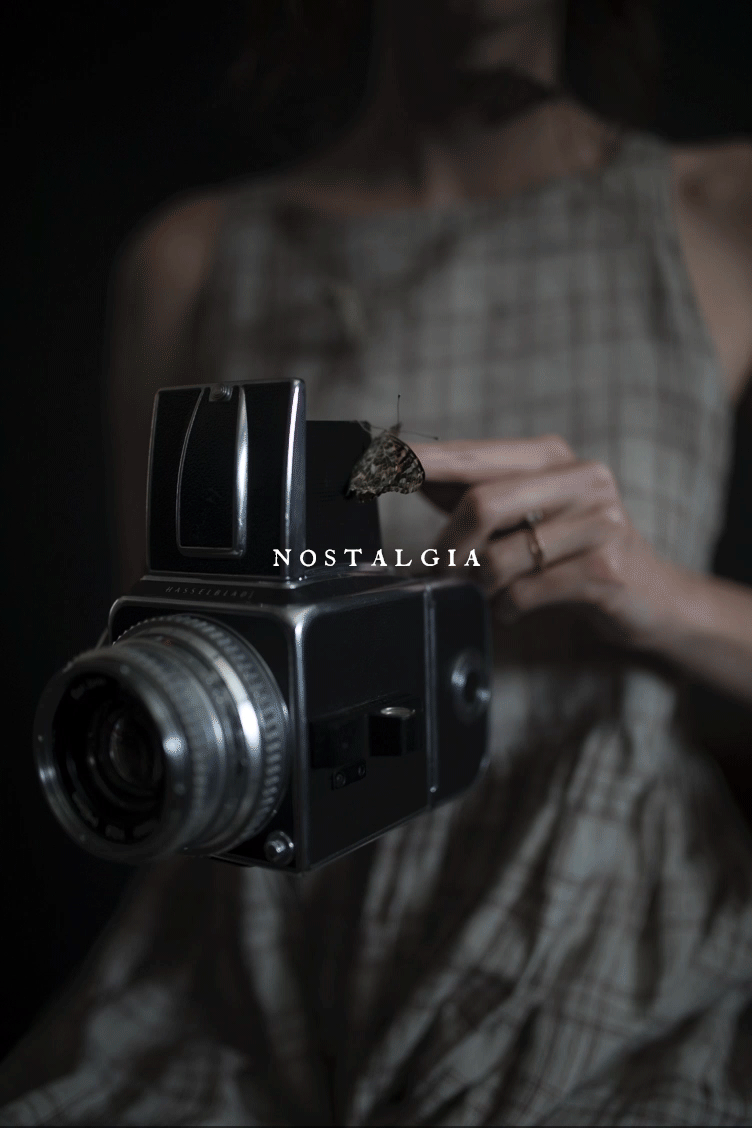 N.gif