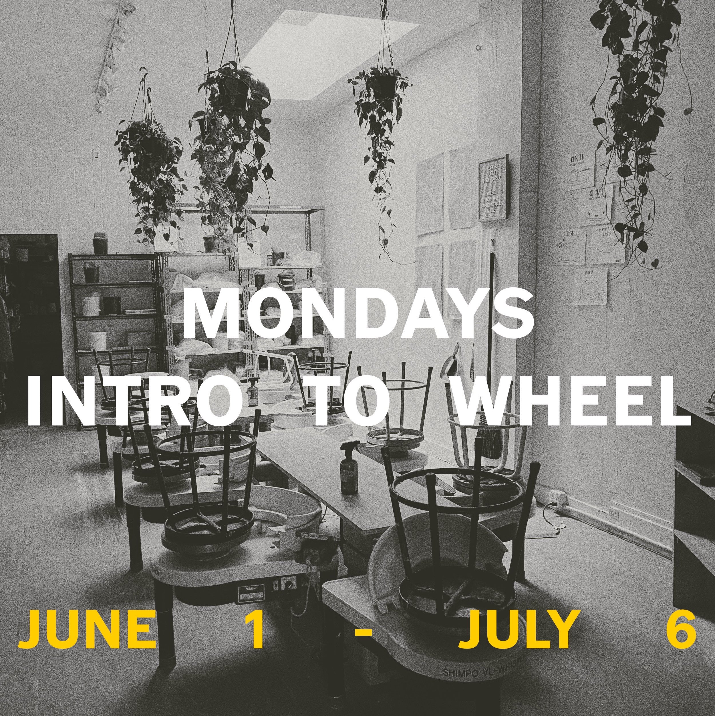 AD683596-2FDC-46F3-B2F1-BEBD65A23CFF_VSCO 2.JPG