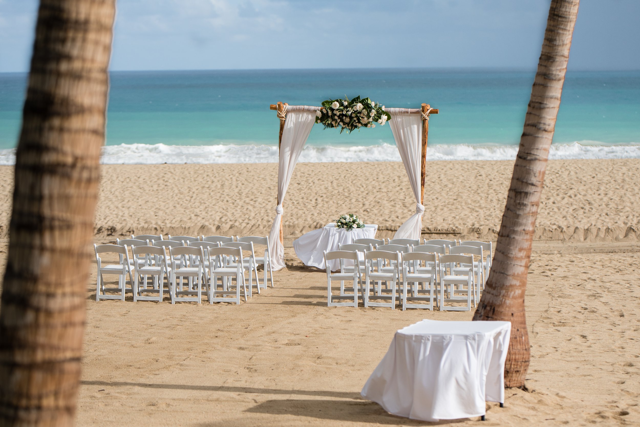 Alisha Sebastian Wedding-123.jpg